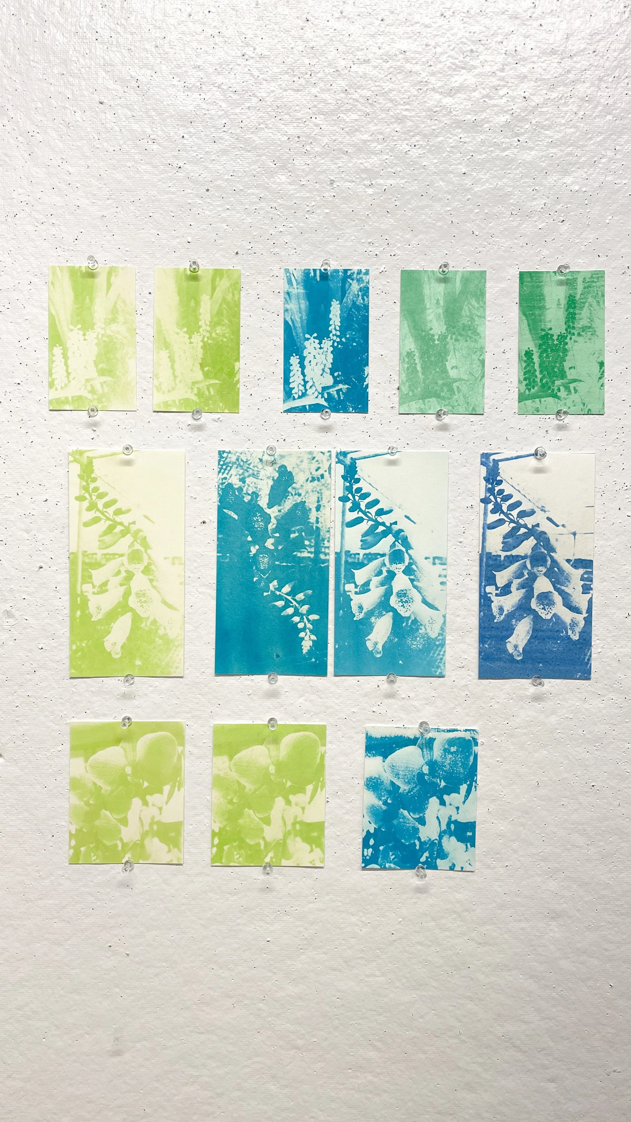 2021_GumBichromate_PhotoPrints_NancyDHuynh003.JPG