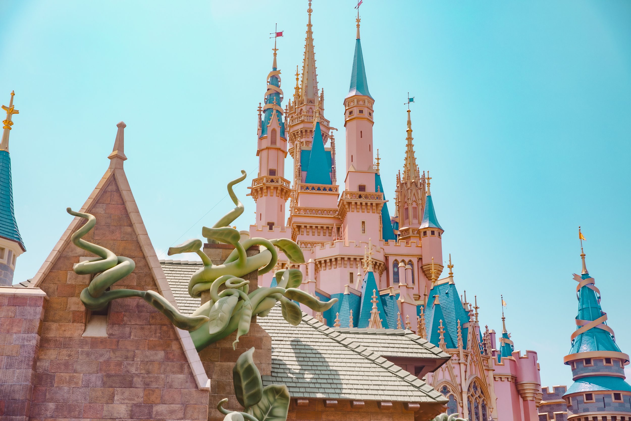 2023_OrlandoFL_DisneyWorld_NancyDHuynh005.JPG