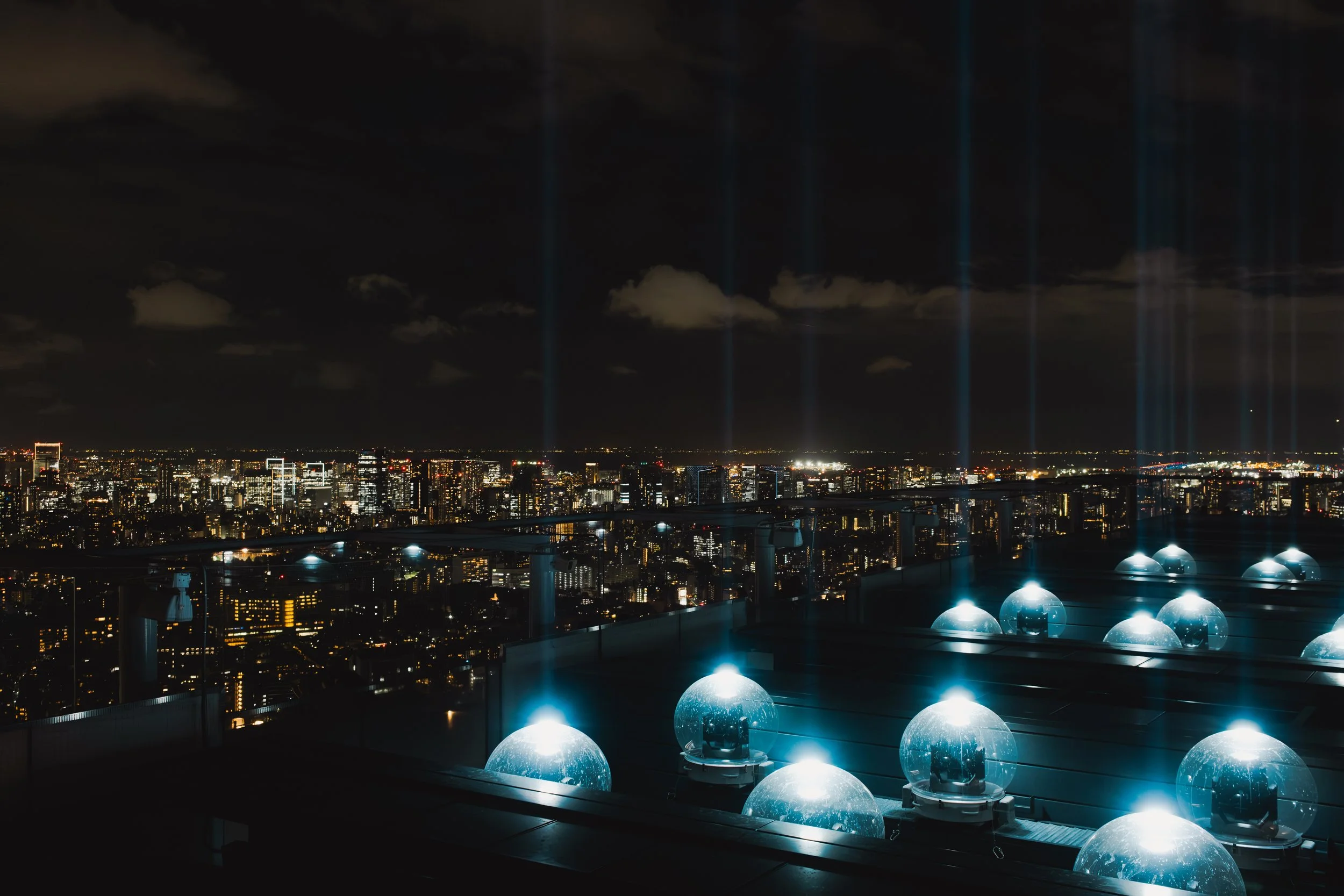 2025_Japan_Tokyo_NancyDHuynh081.JPG