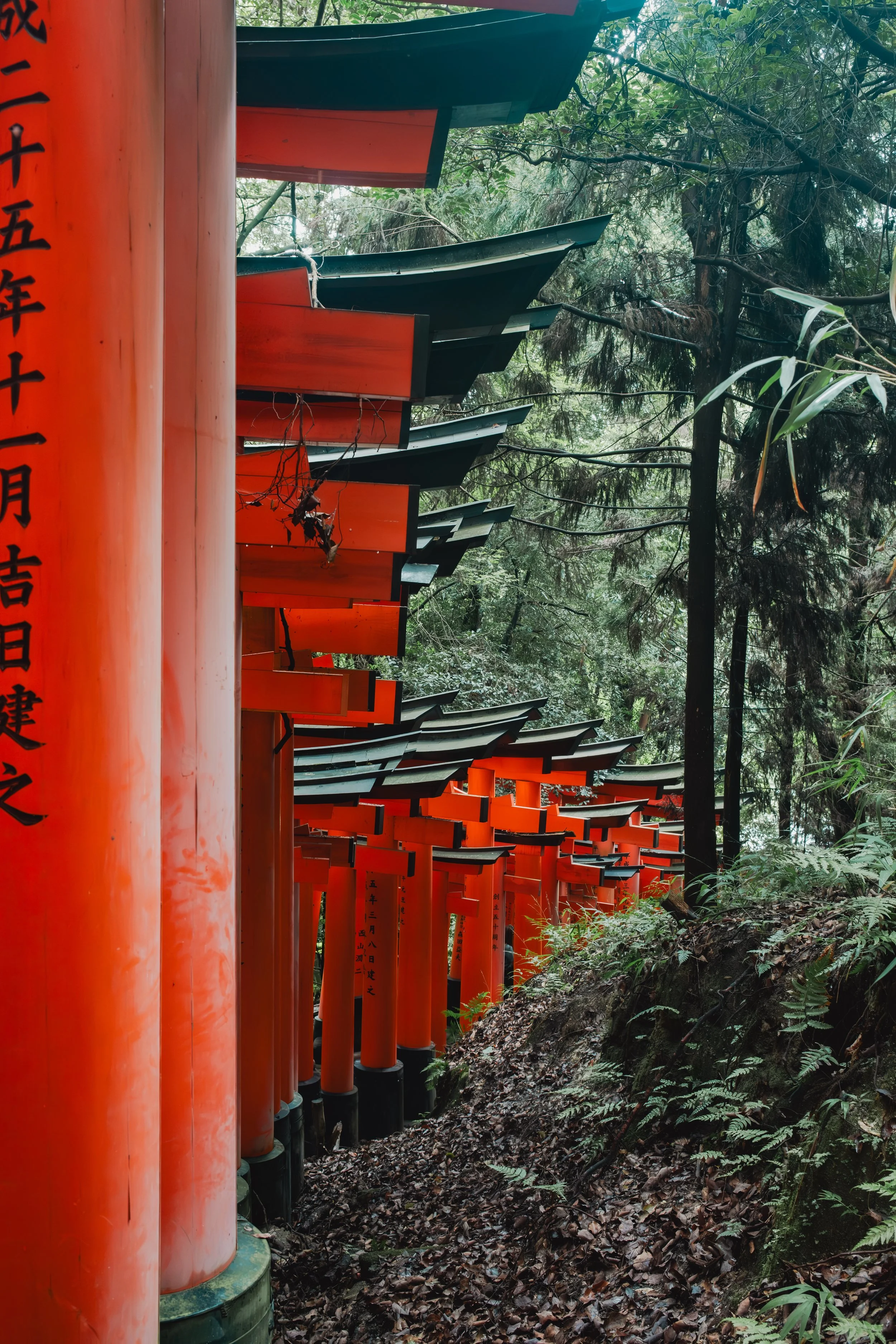 2025_Japan_Kyoto_NancyDHuynh063.JPG