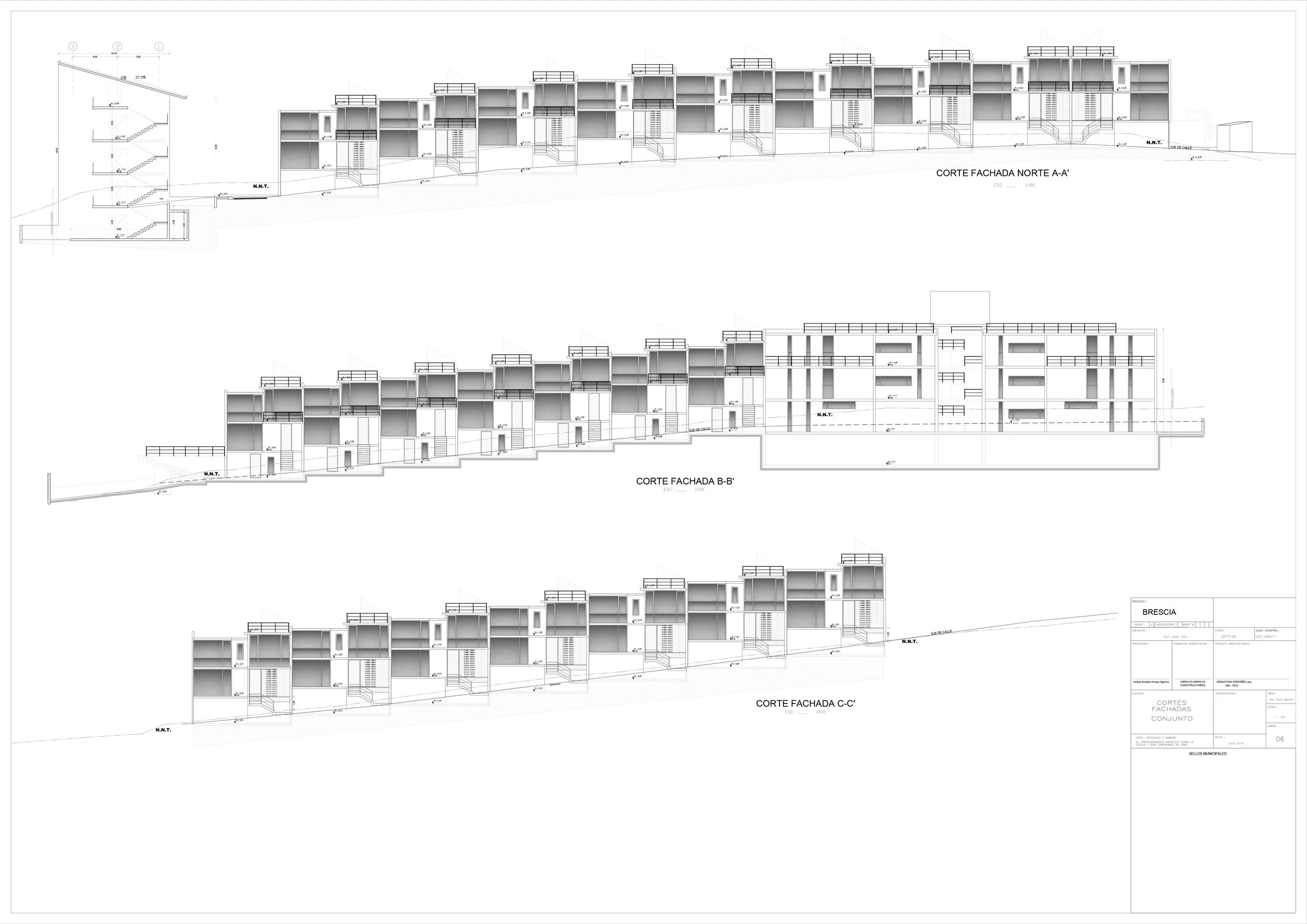 BRESCIA LAMINA 6.jpg