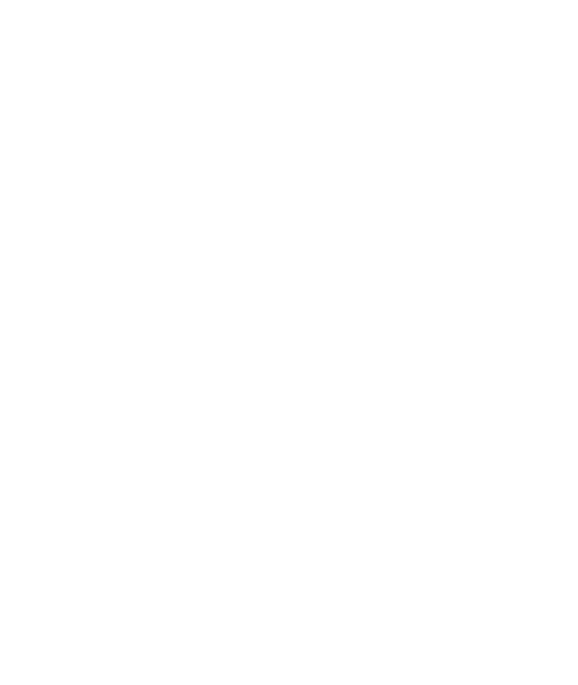 Leah Carrera Styling