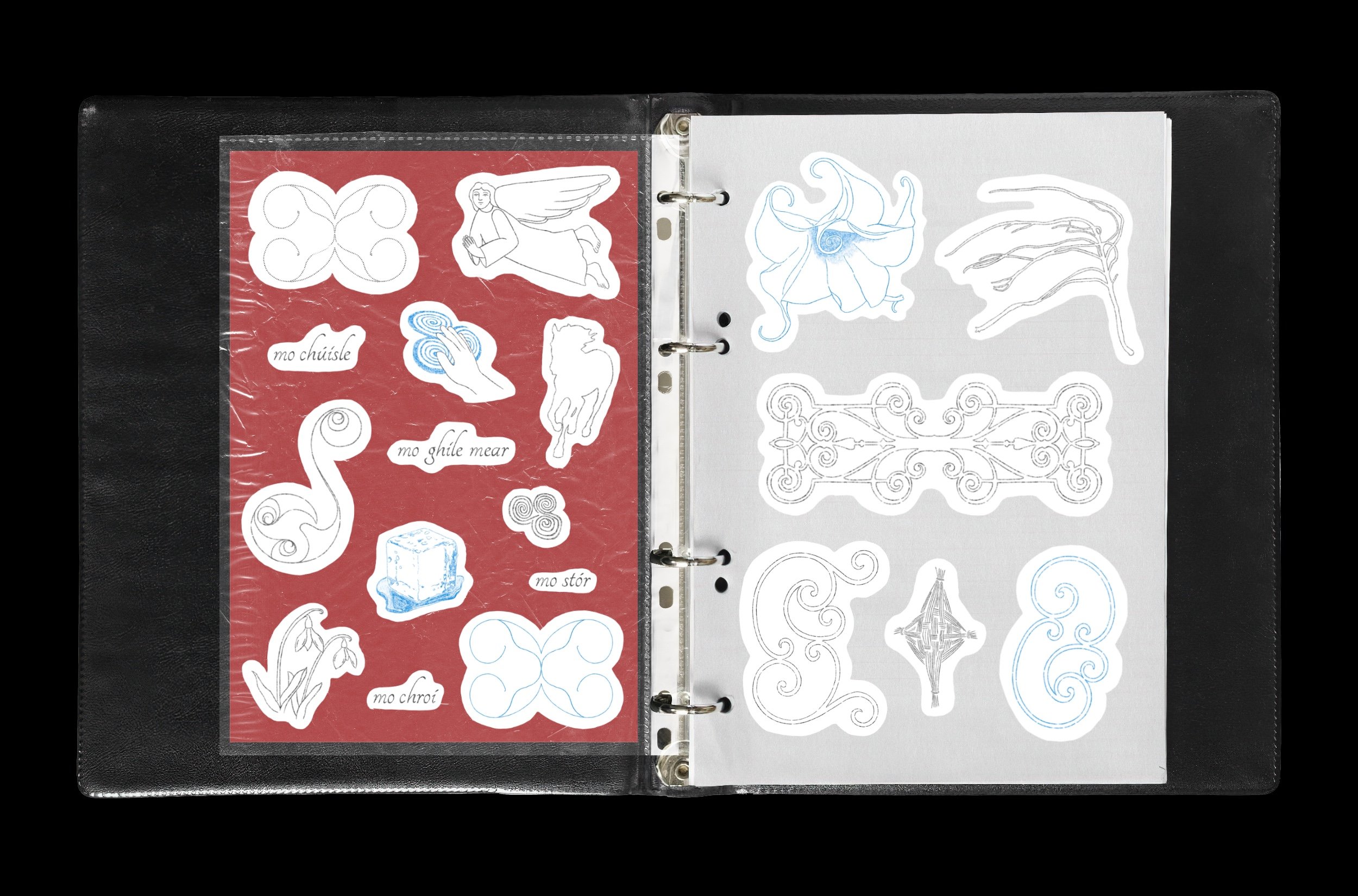 Flash_Book_SQSP_Dimensions 2.jpg