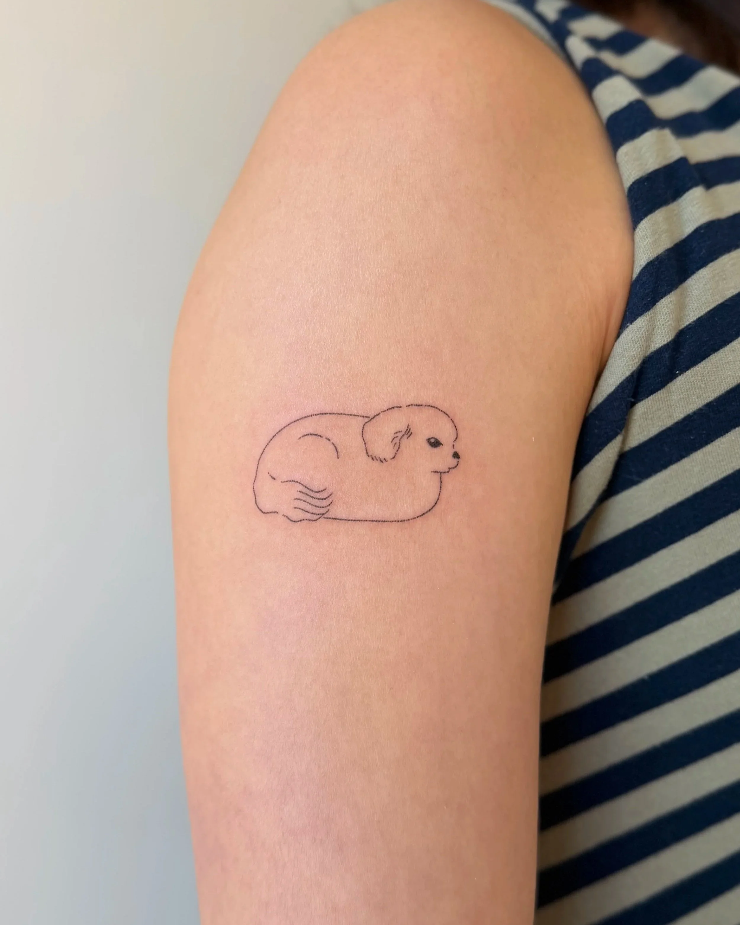 IMG_6081.jpg