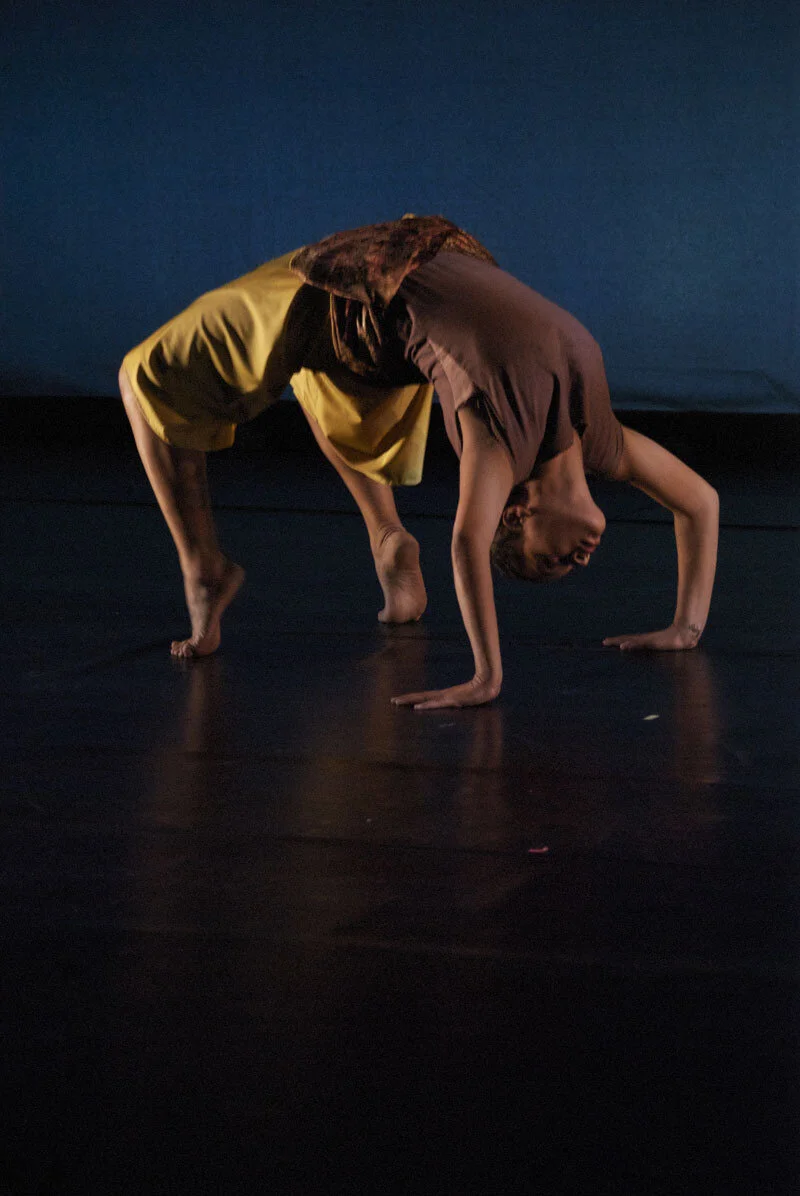 danceworks_2011__08.jpg