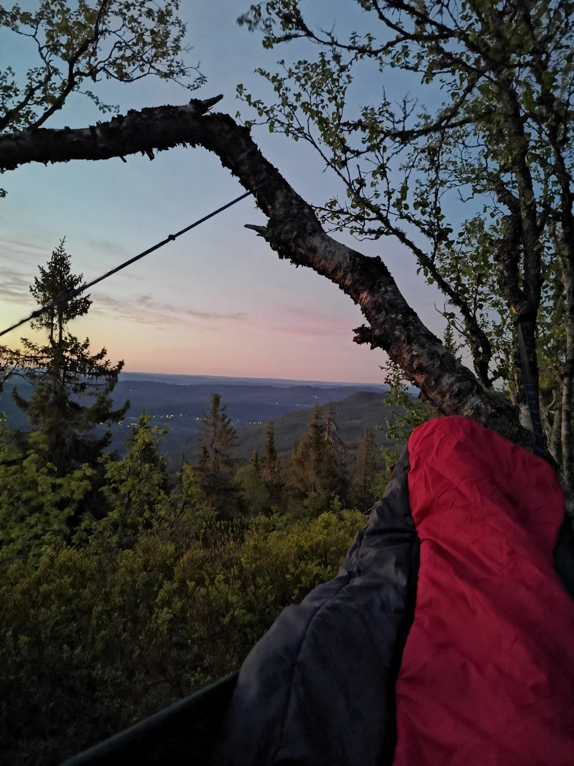Bjørnåsen og Fjellsjøkampen, juni 2020
