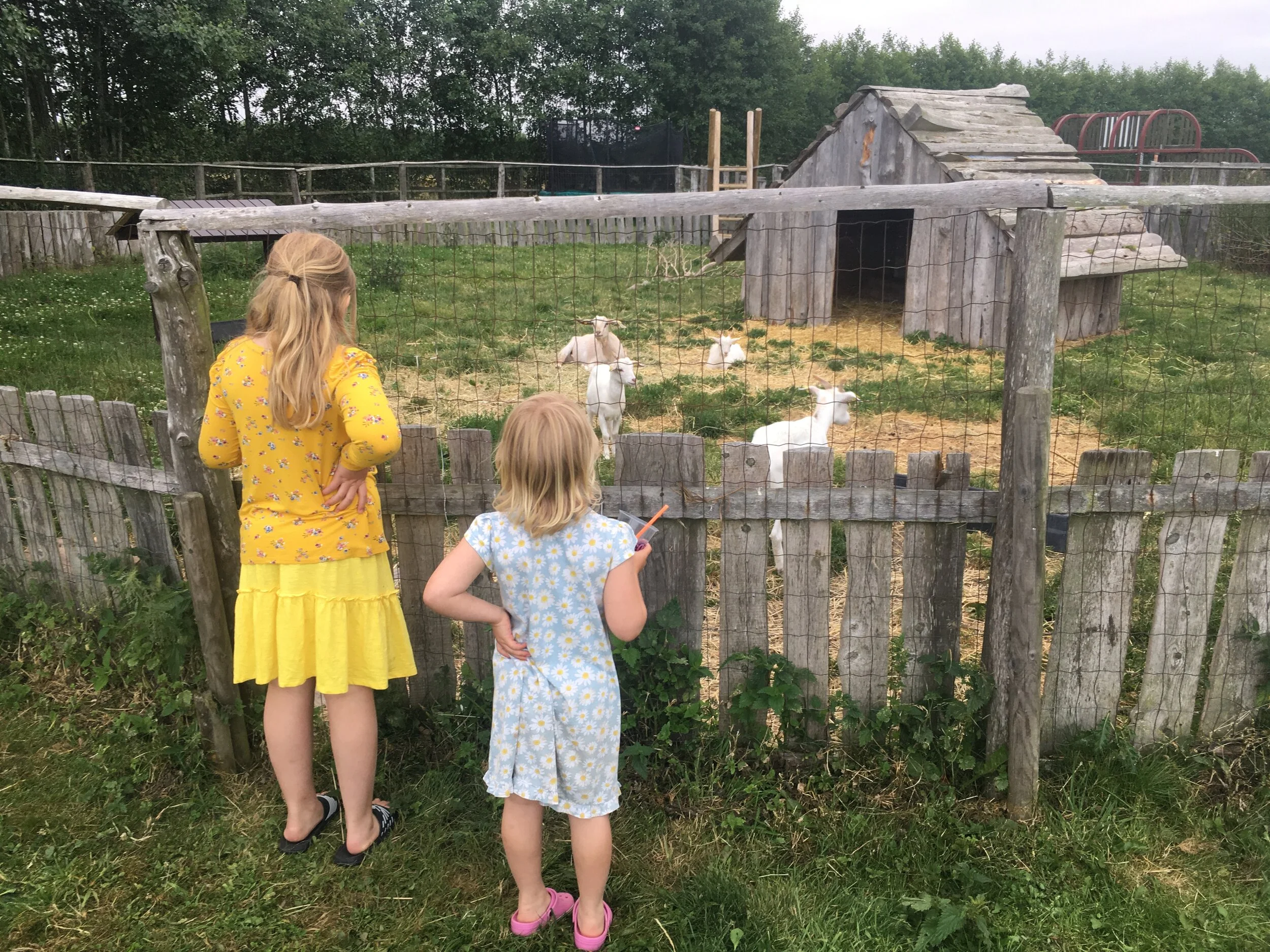 Road Trip Sverige &amp; Danmark, juli 2019