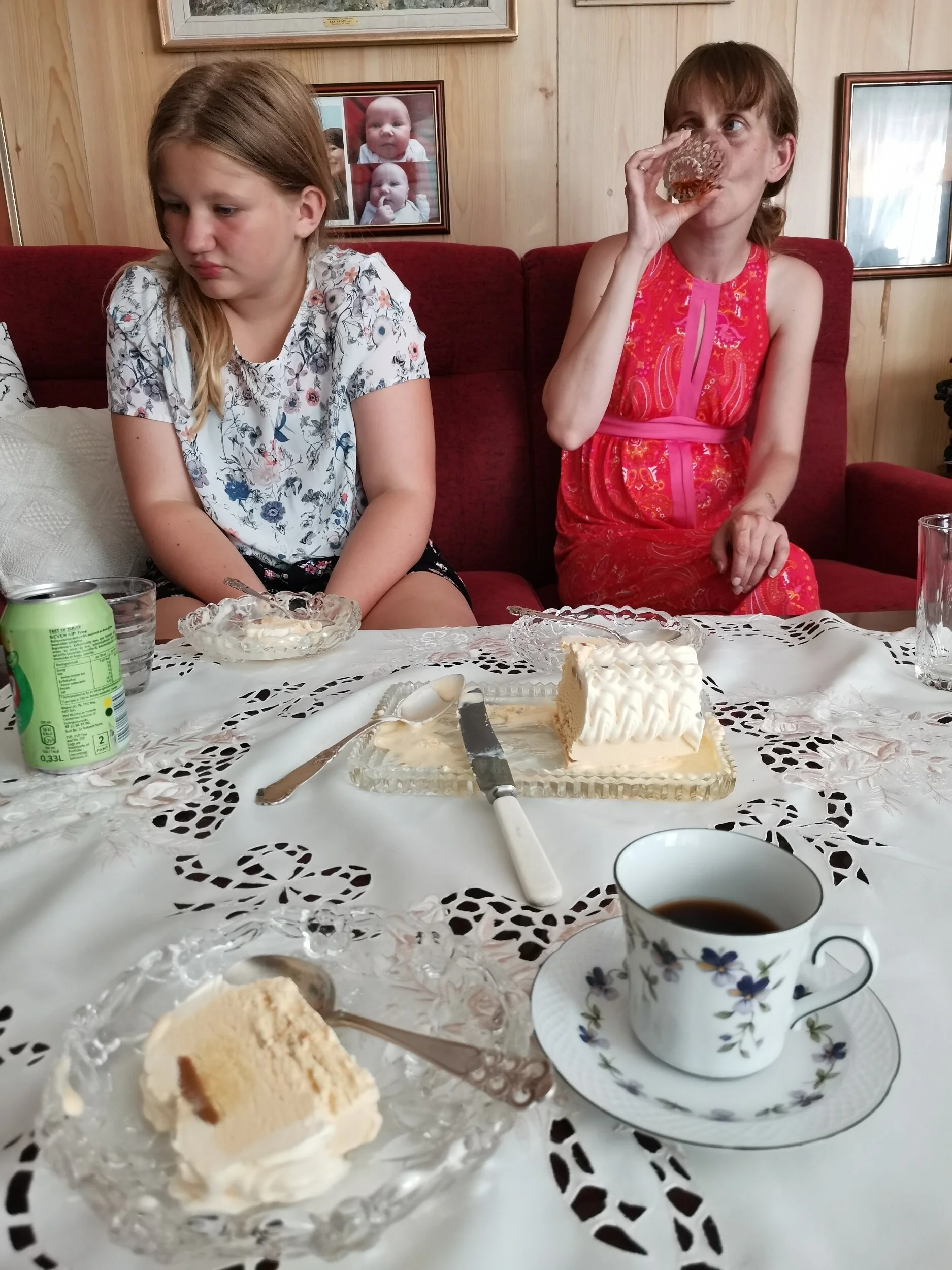 Dag 20: Rjukan - Lillehammer