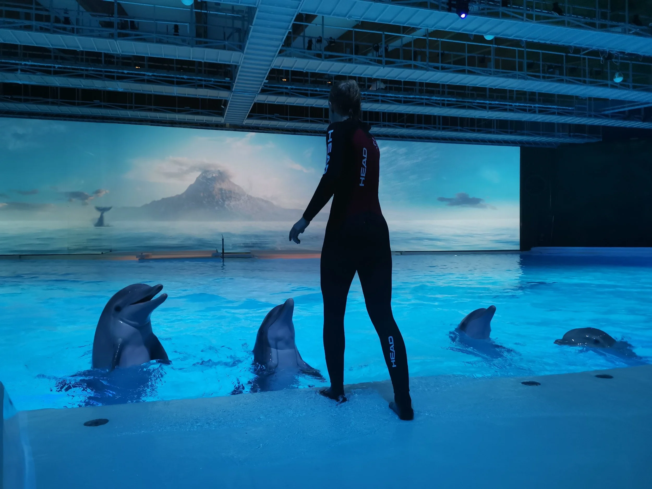 Dag 5: Kolmården, Östergötland & omegn