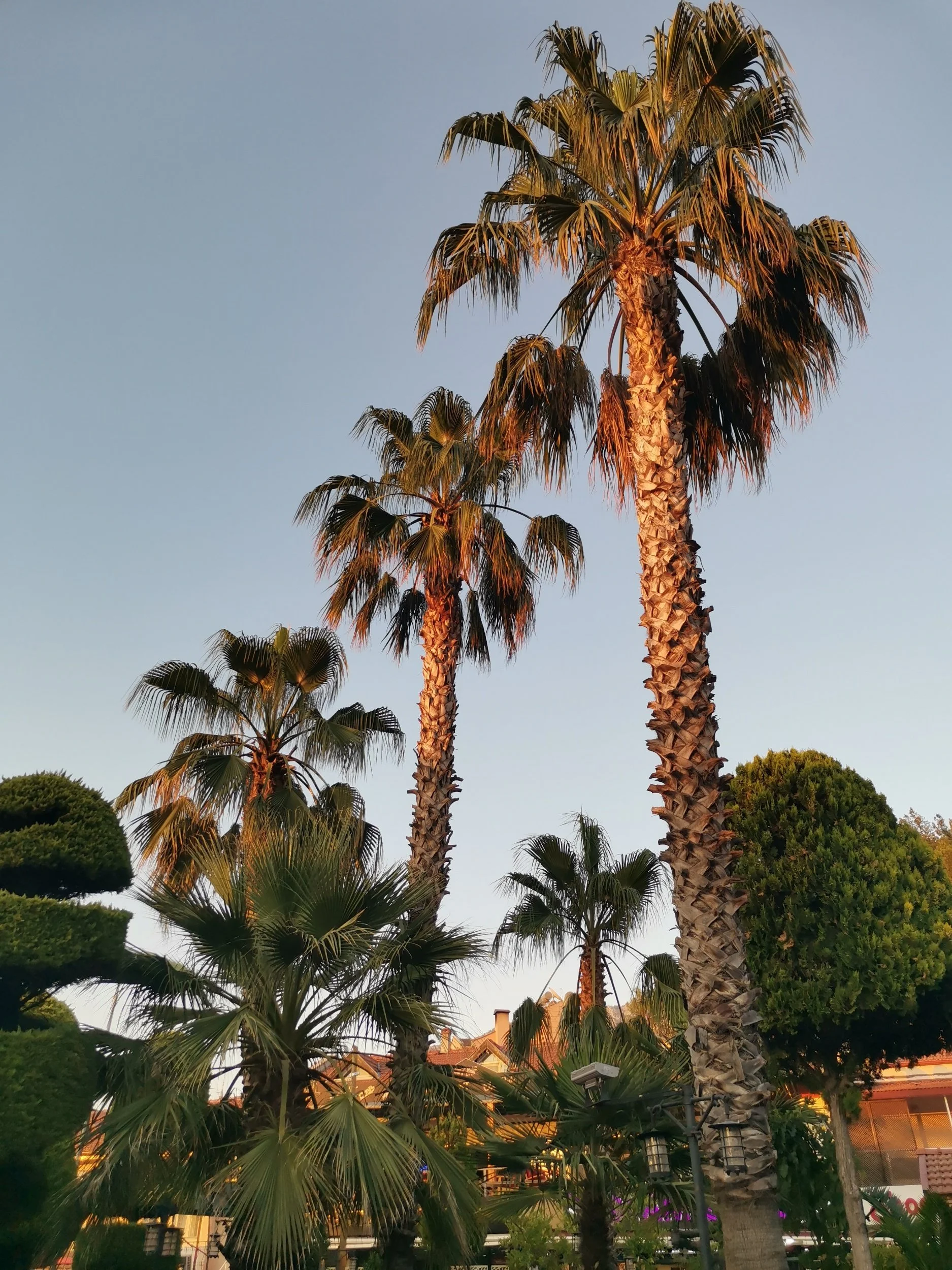 Dag 1 (2/2): Gardermoen - Hisarönü