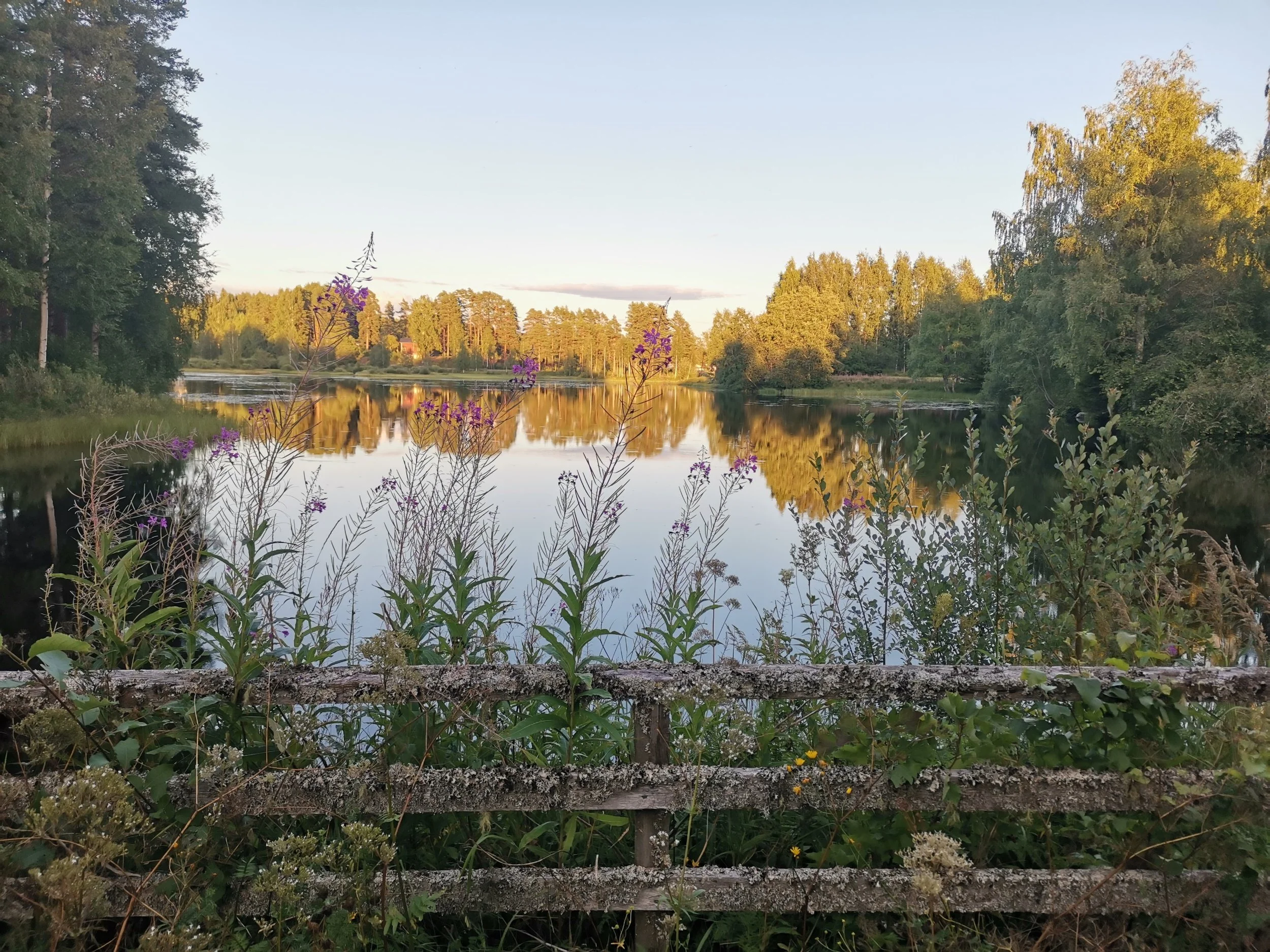 28. juli (210/366) - Solodag 7: Brage og kunst i skogen