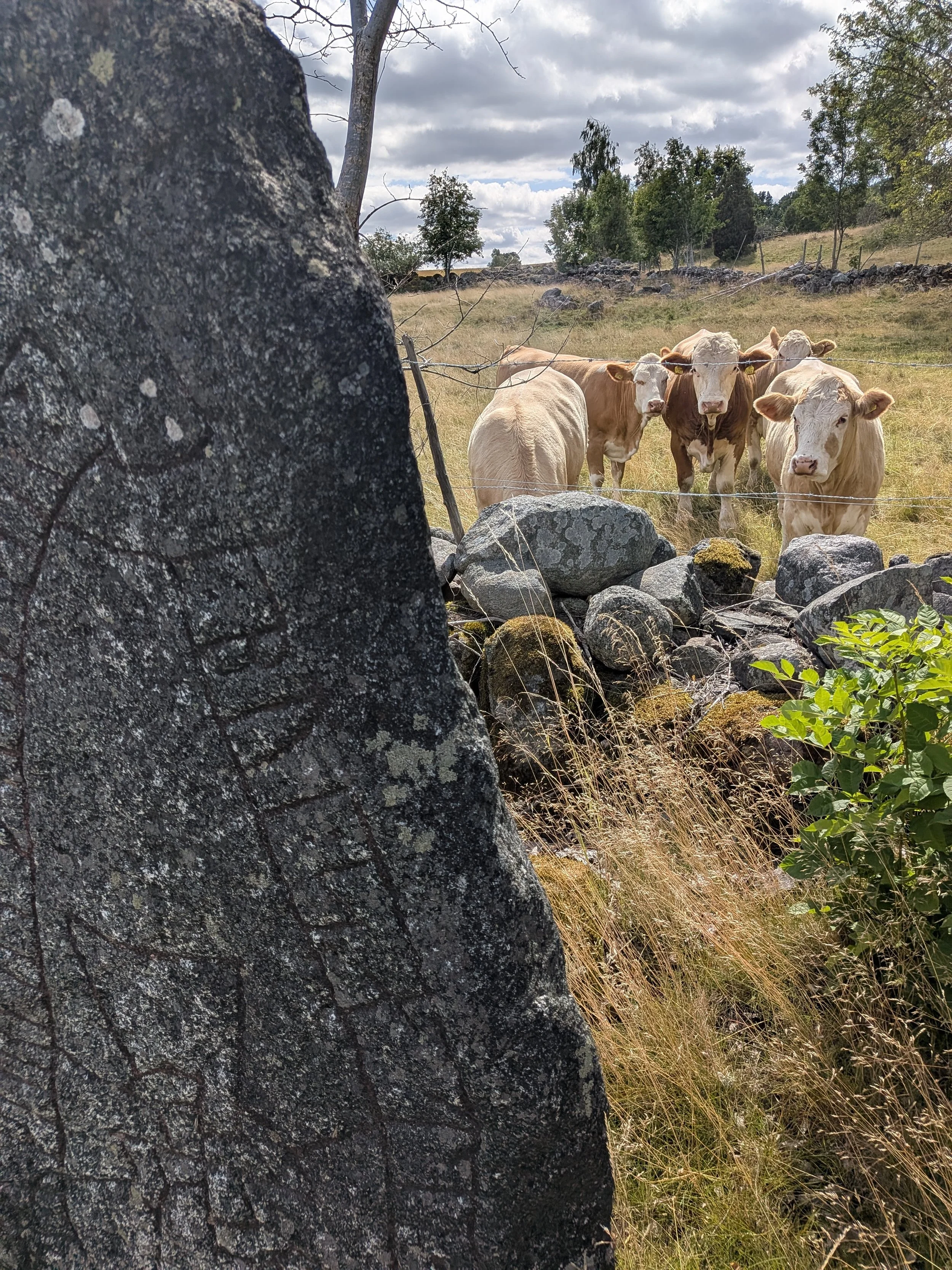Dag 7, solo 26: Skärsjösjön - Stångehamn