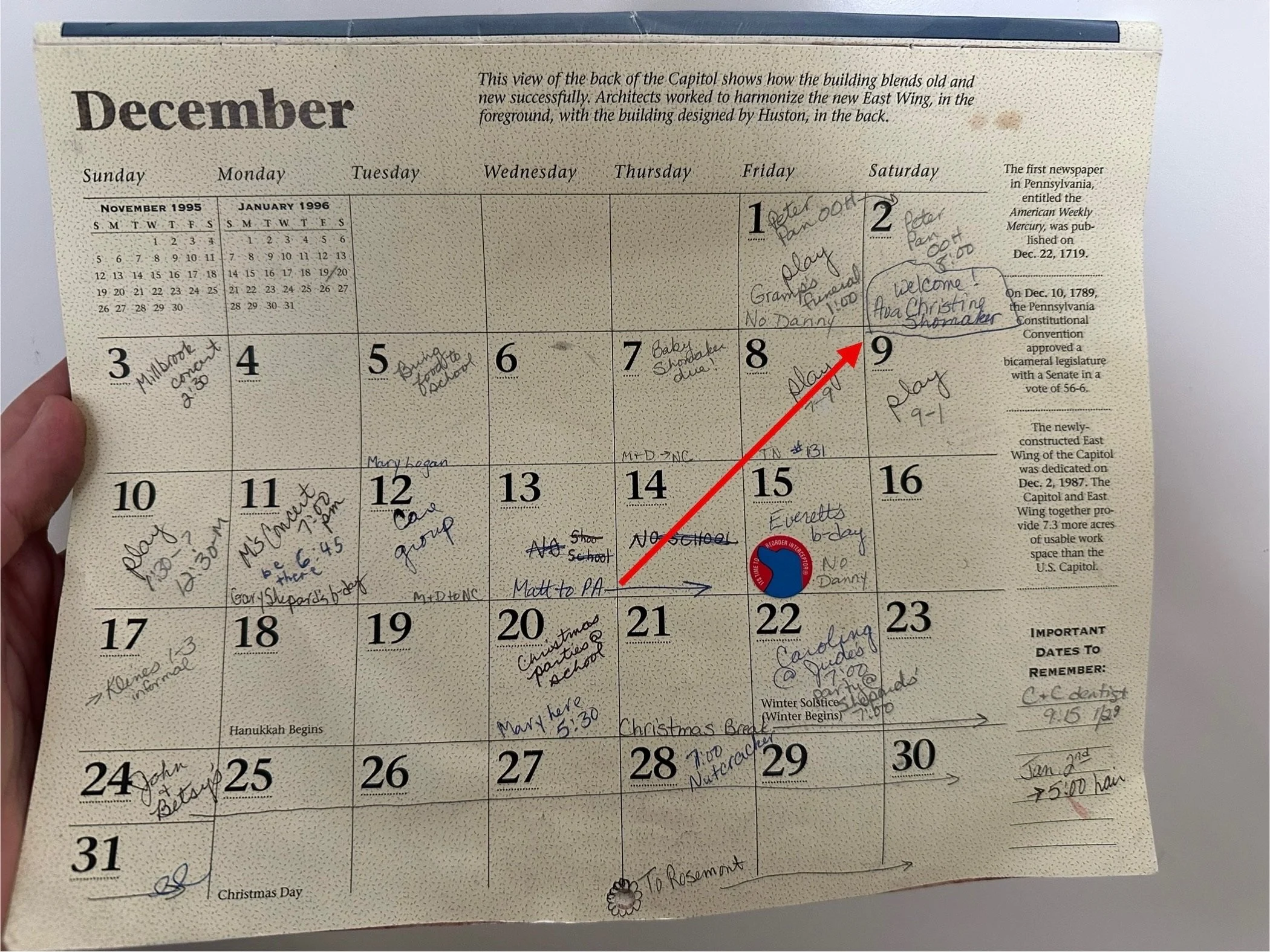 1295 Ava - Cathy Calendar.jpg