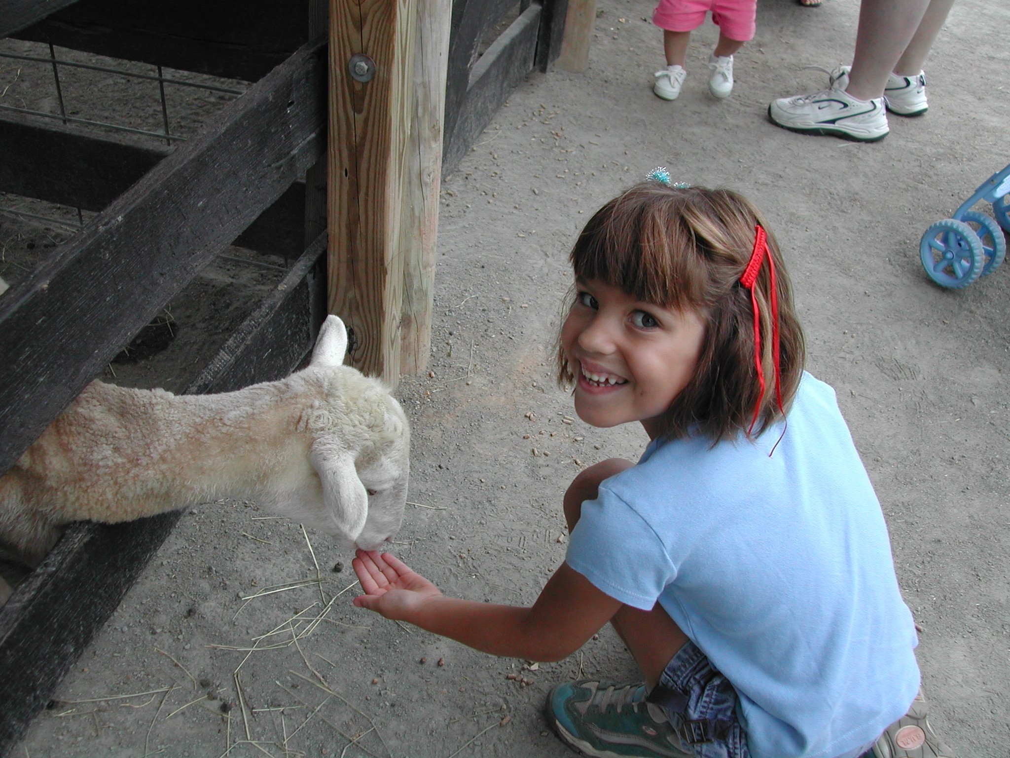 0702 Ava Leesburg Farm.jpg