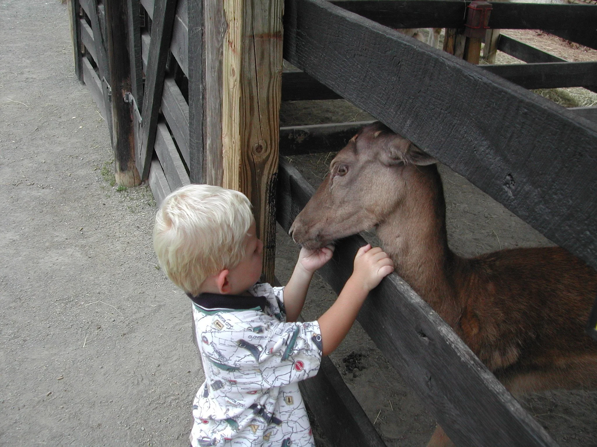 0702 Nate Leesburg Farm.jpg