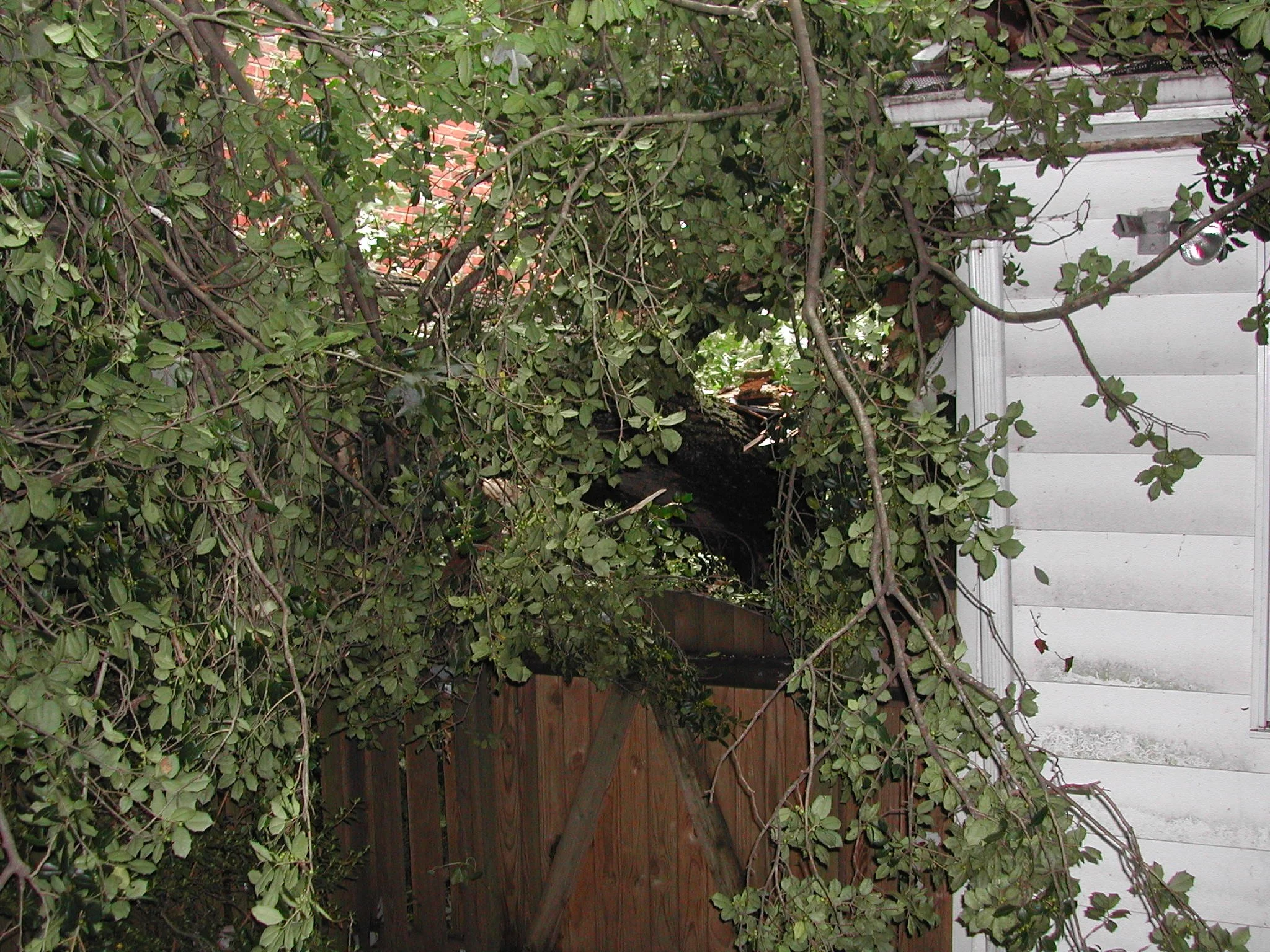 0903 Crathie 8 Hurricane.jpg