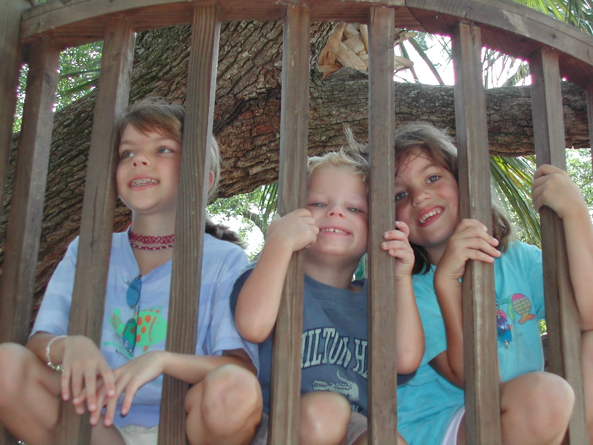 0603 HH Treehouse Kids.jpg