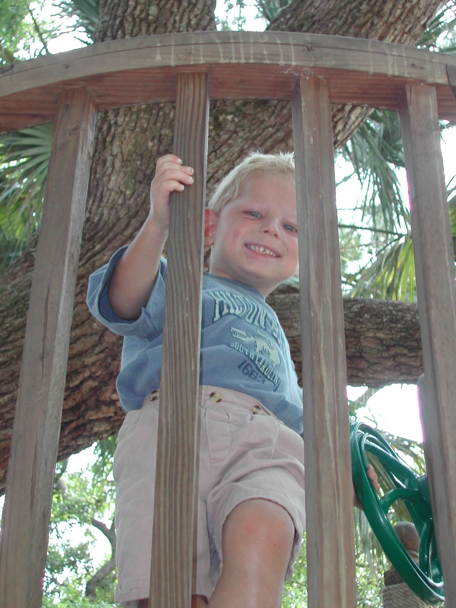 0603 HH Treehouse Nate.jpg