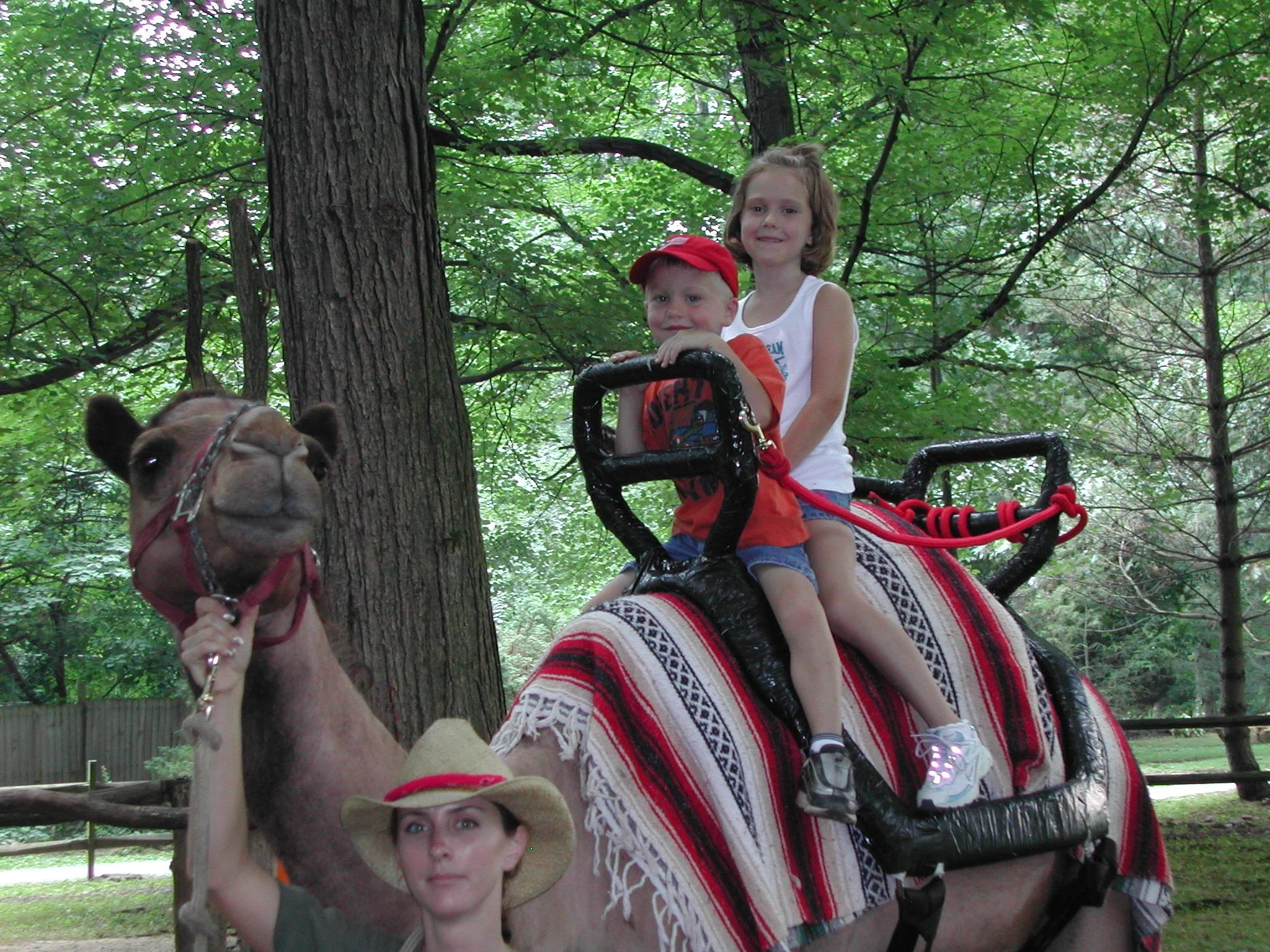 0704 Jeffrey Lydia Catoctin.jpg