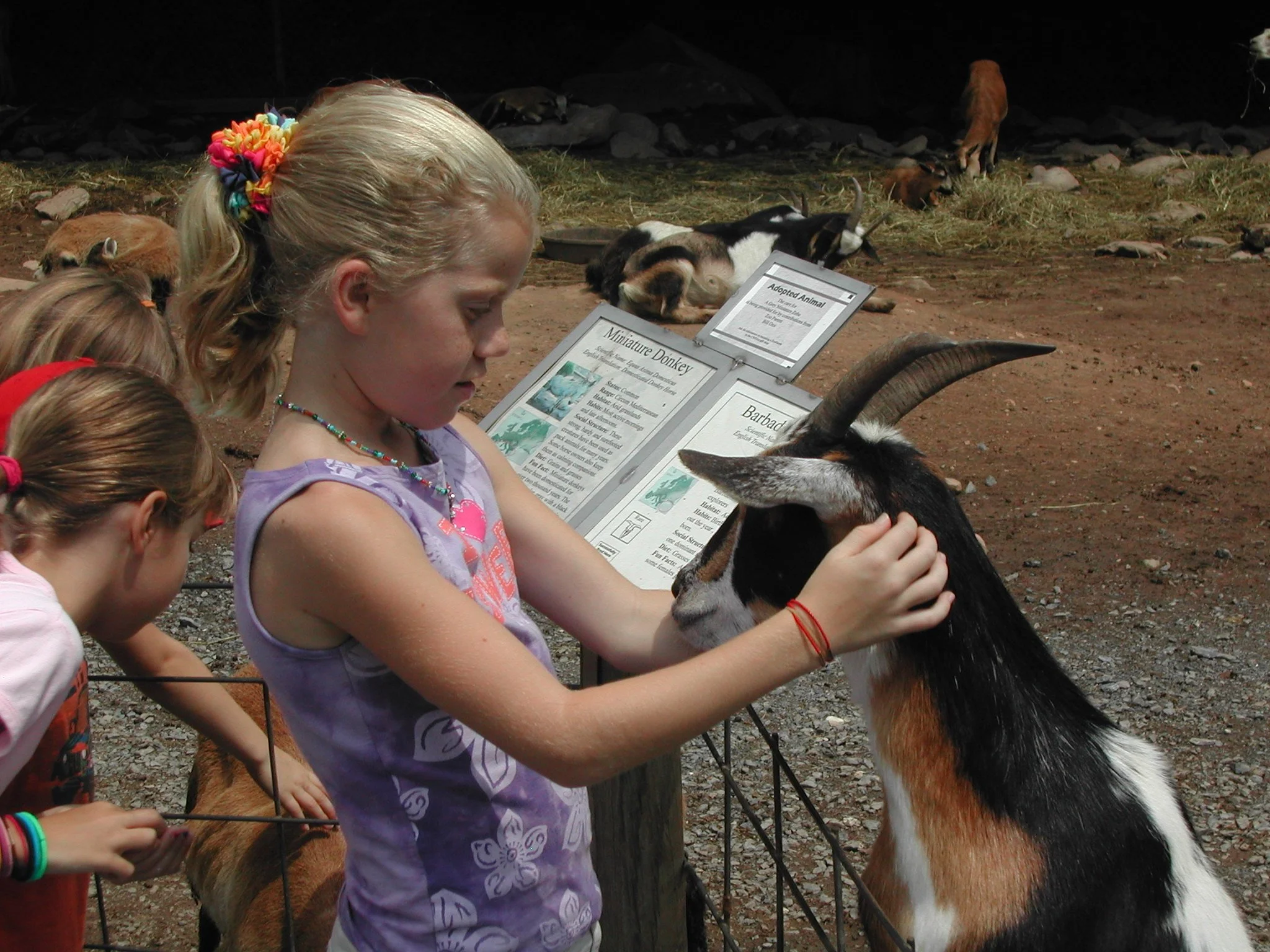 0704 Laura Catoctin 1.jpg