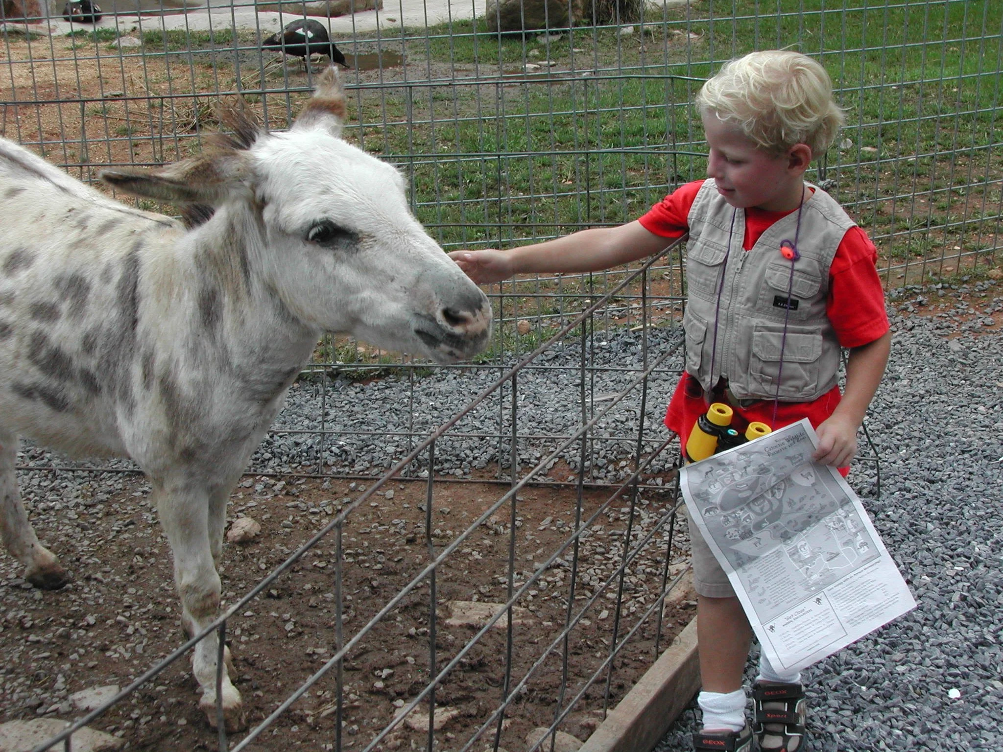 0704 Nate Catoctin 1.jpg