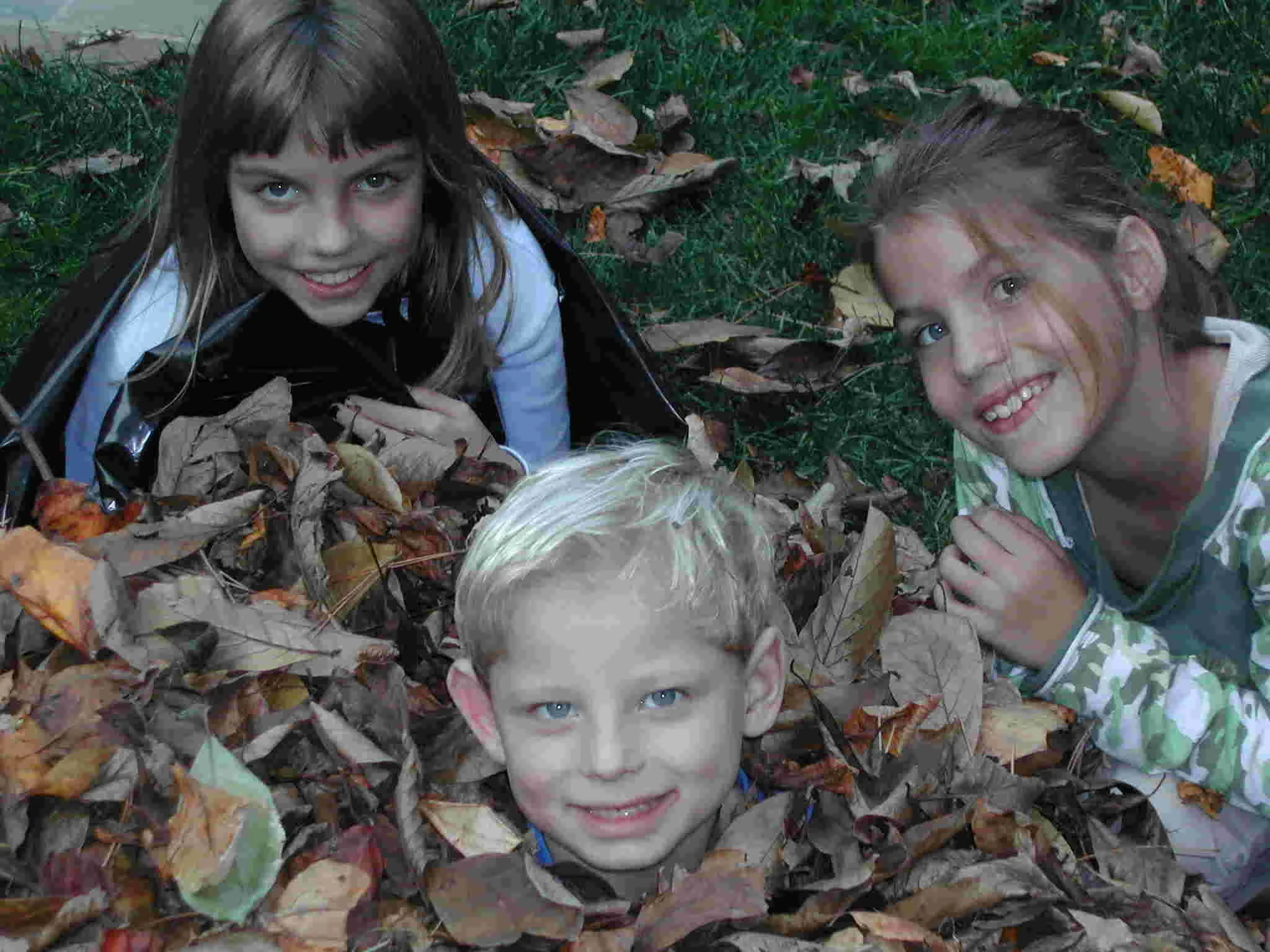 1004 Kids Leaves SM.jpg