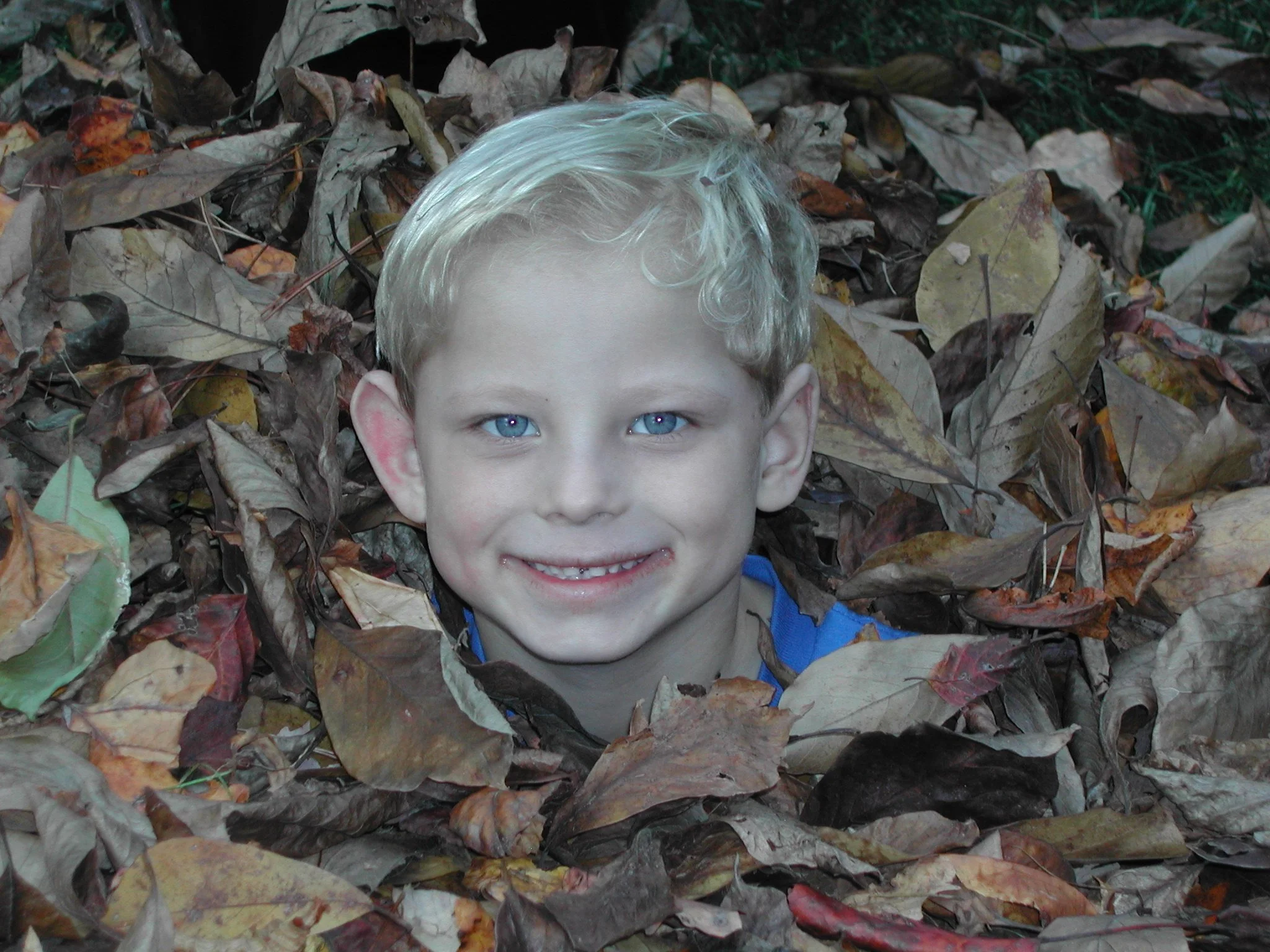 1004 Nate Leaves.jpg