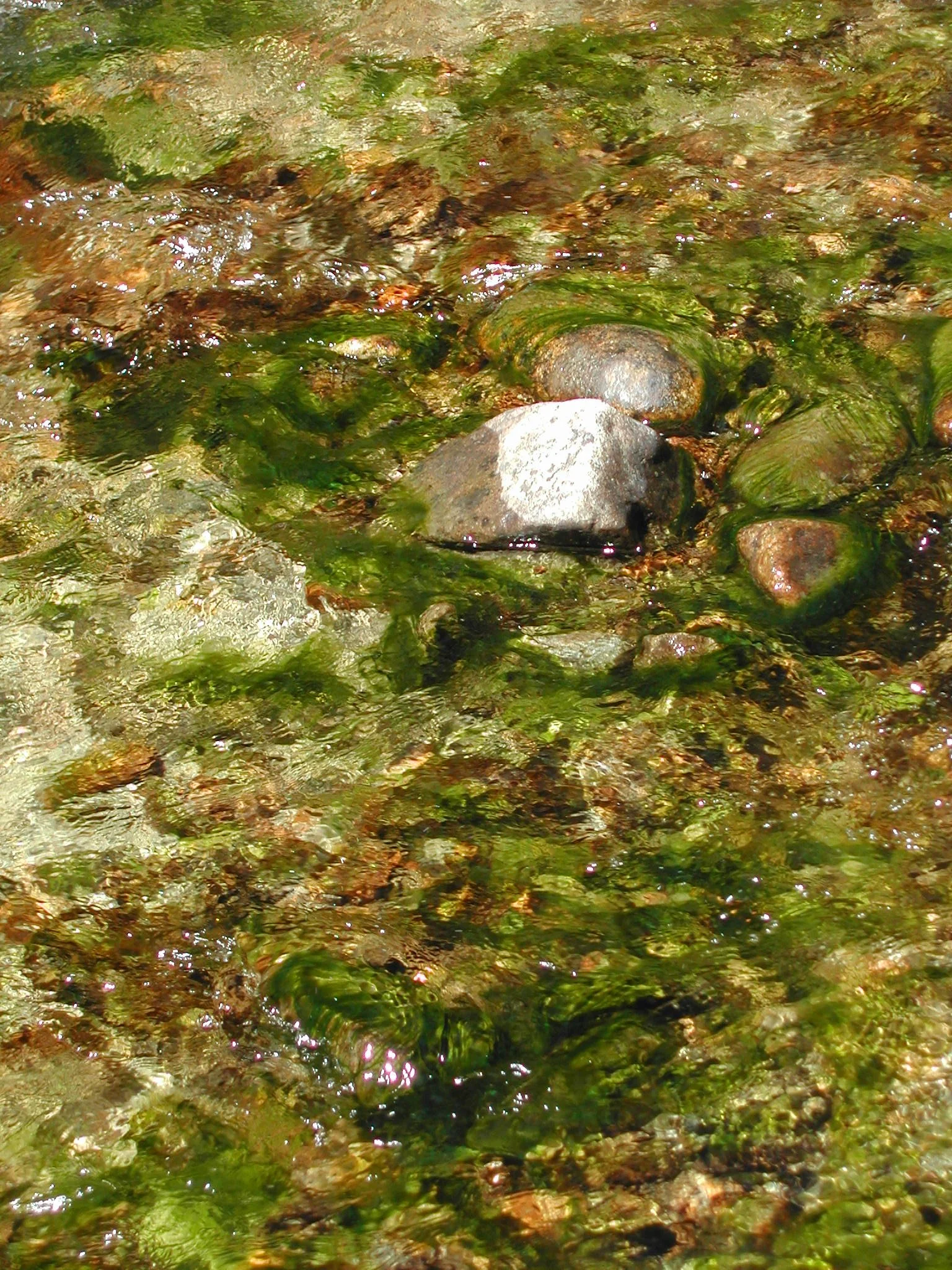 0604 Mountain River .jpg