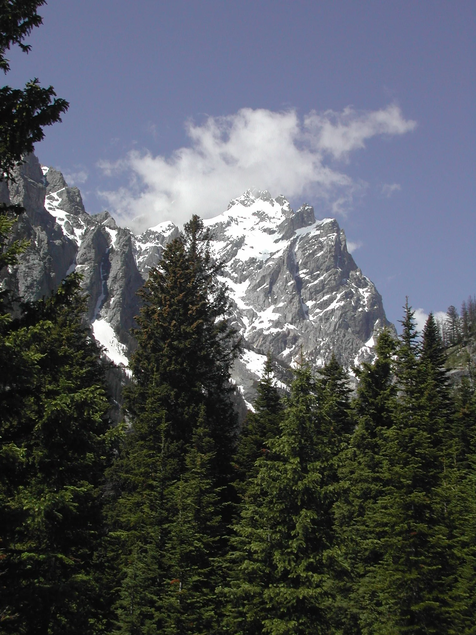 0604 Mt Teewinot 1.jpg