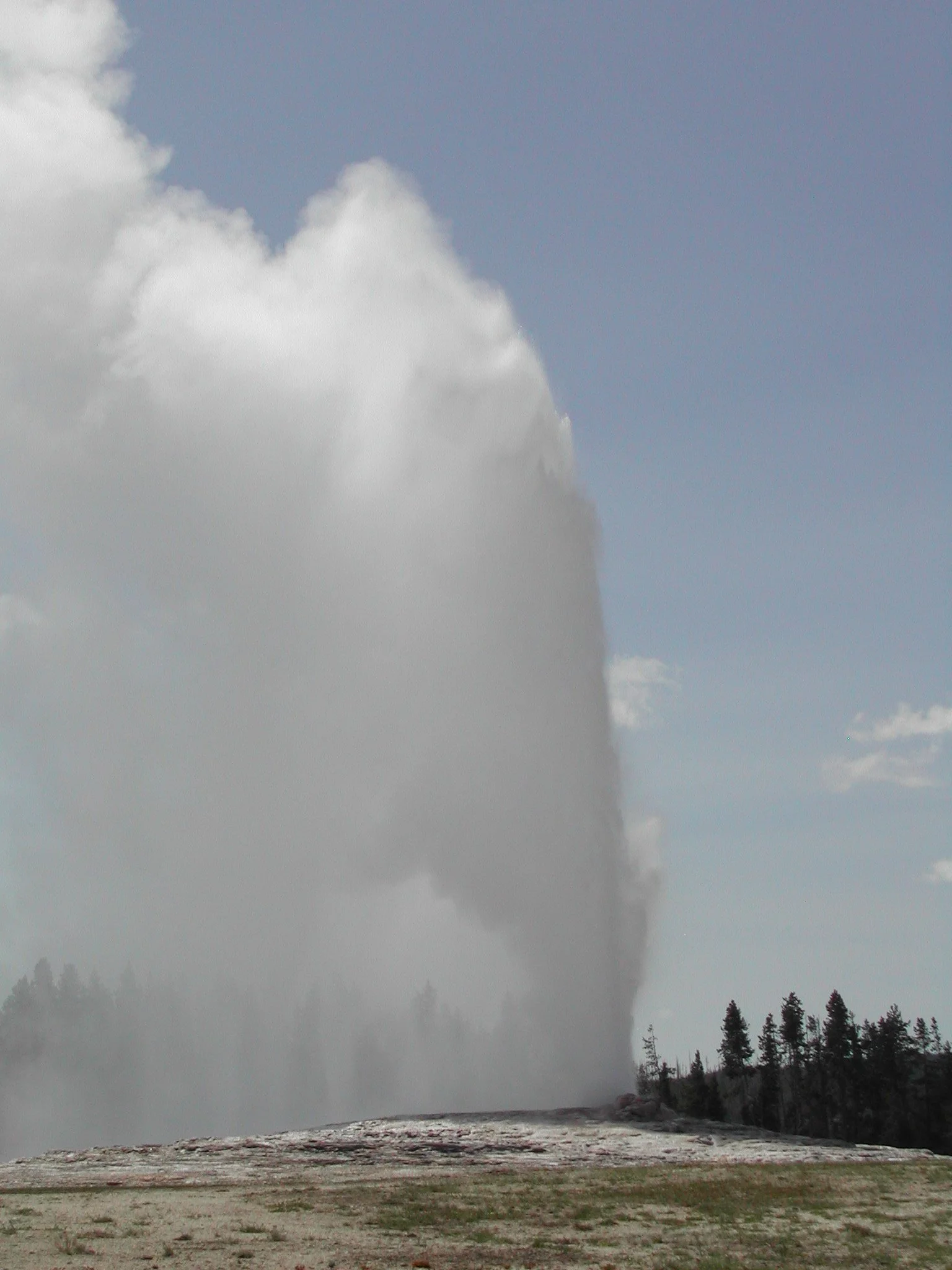 0604 Old Faithful 1.jpg