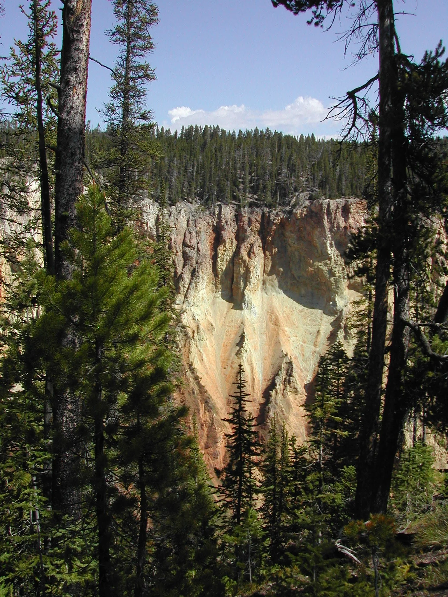 0604 Yellowstone Canyon 1.jpg
