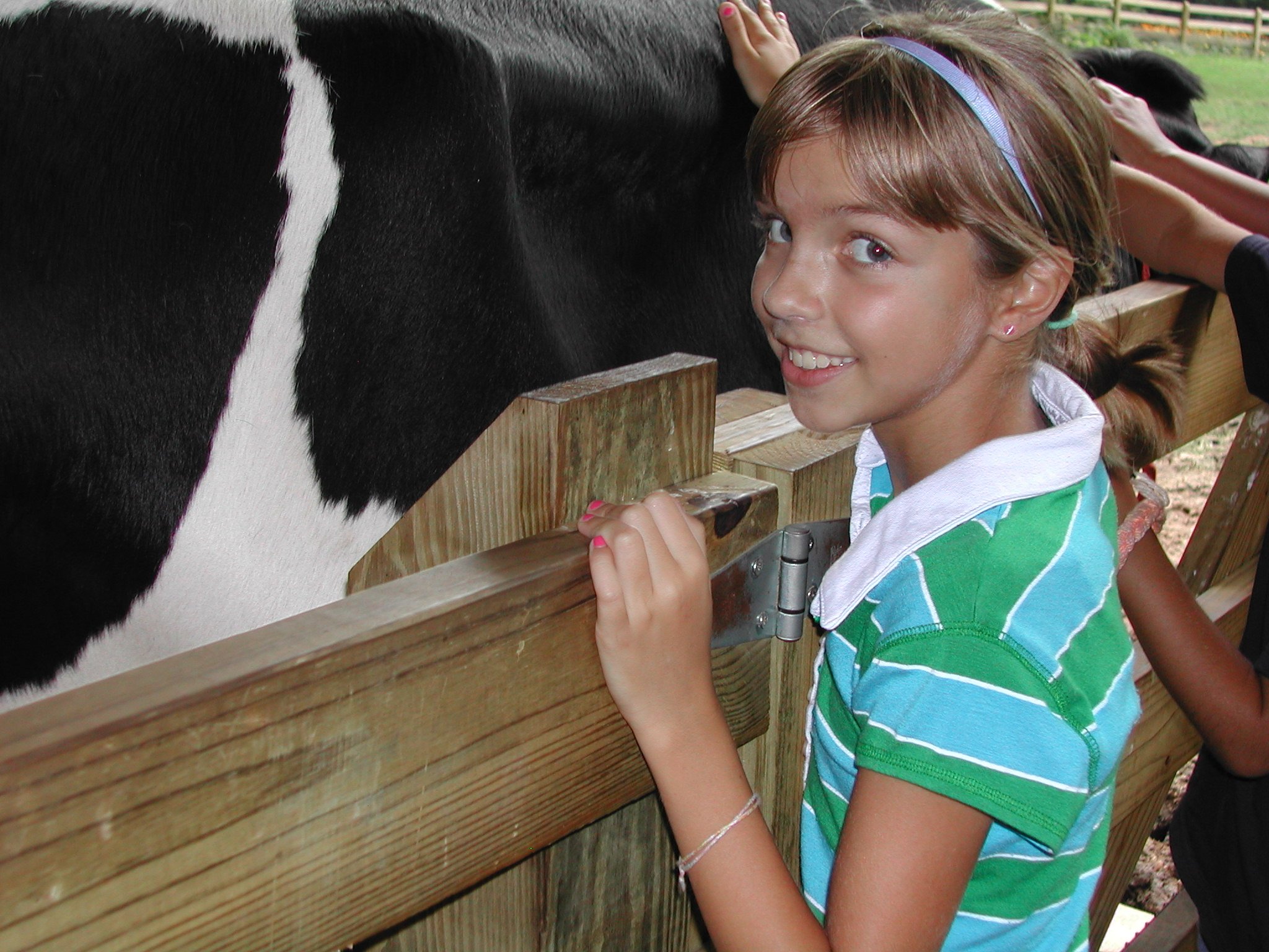 0805 Zoo Grace Cow 2.jpg