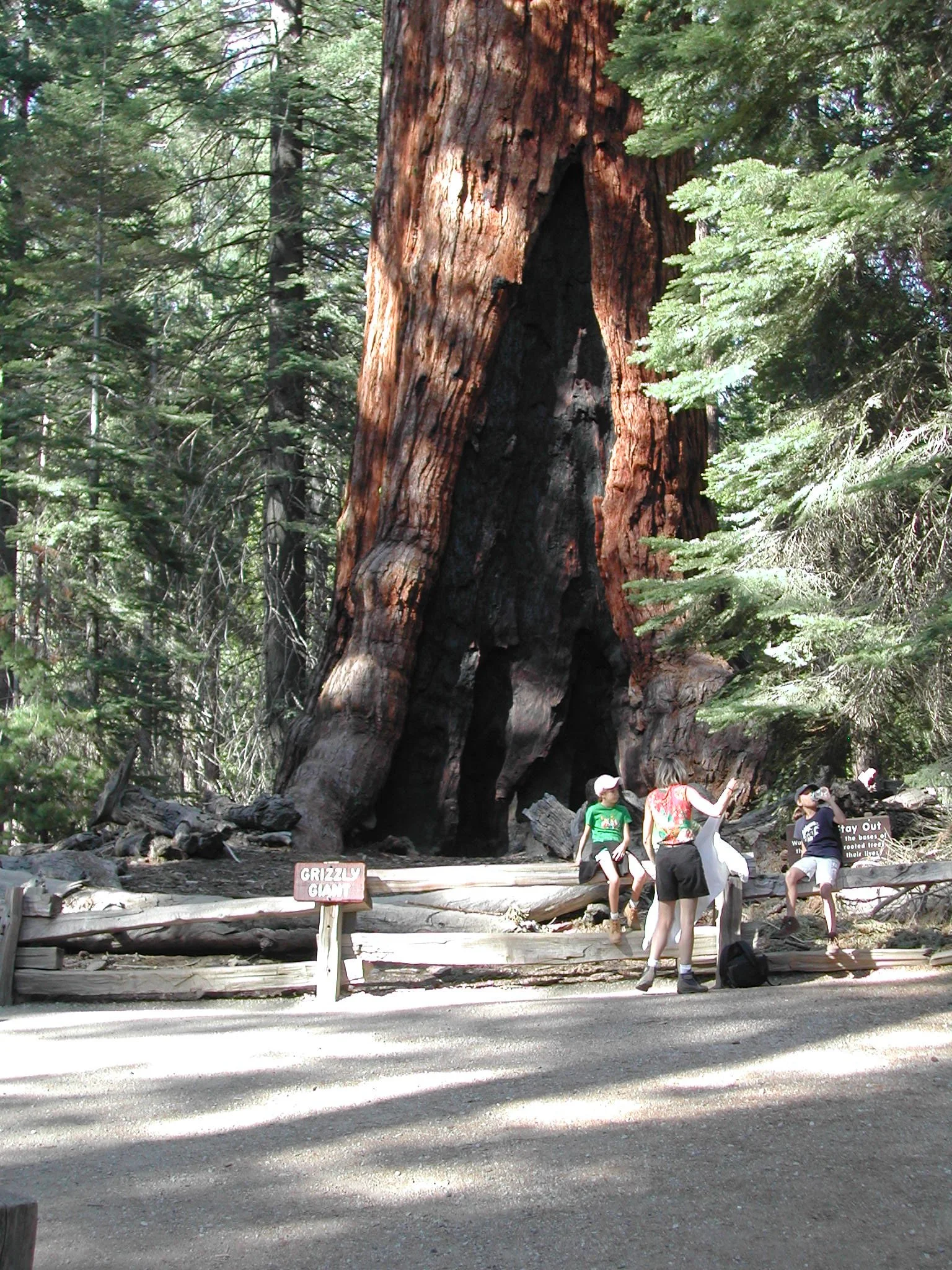 0605-35 Grisley Giant 2.jpg