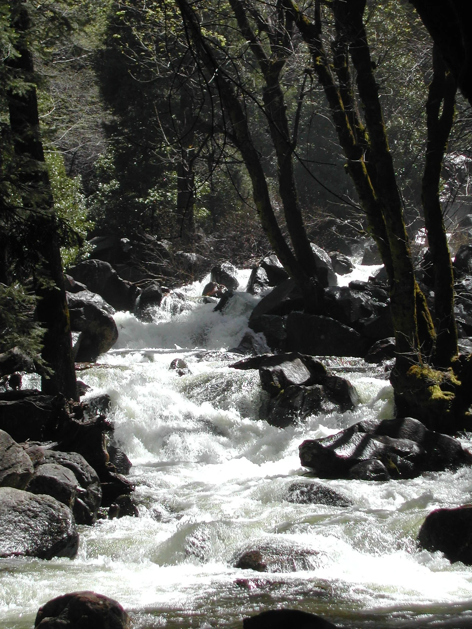 0605-41 Bridleveil Falls Cascade.jpg