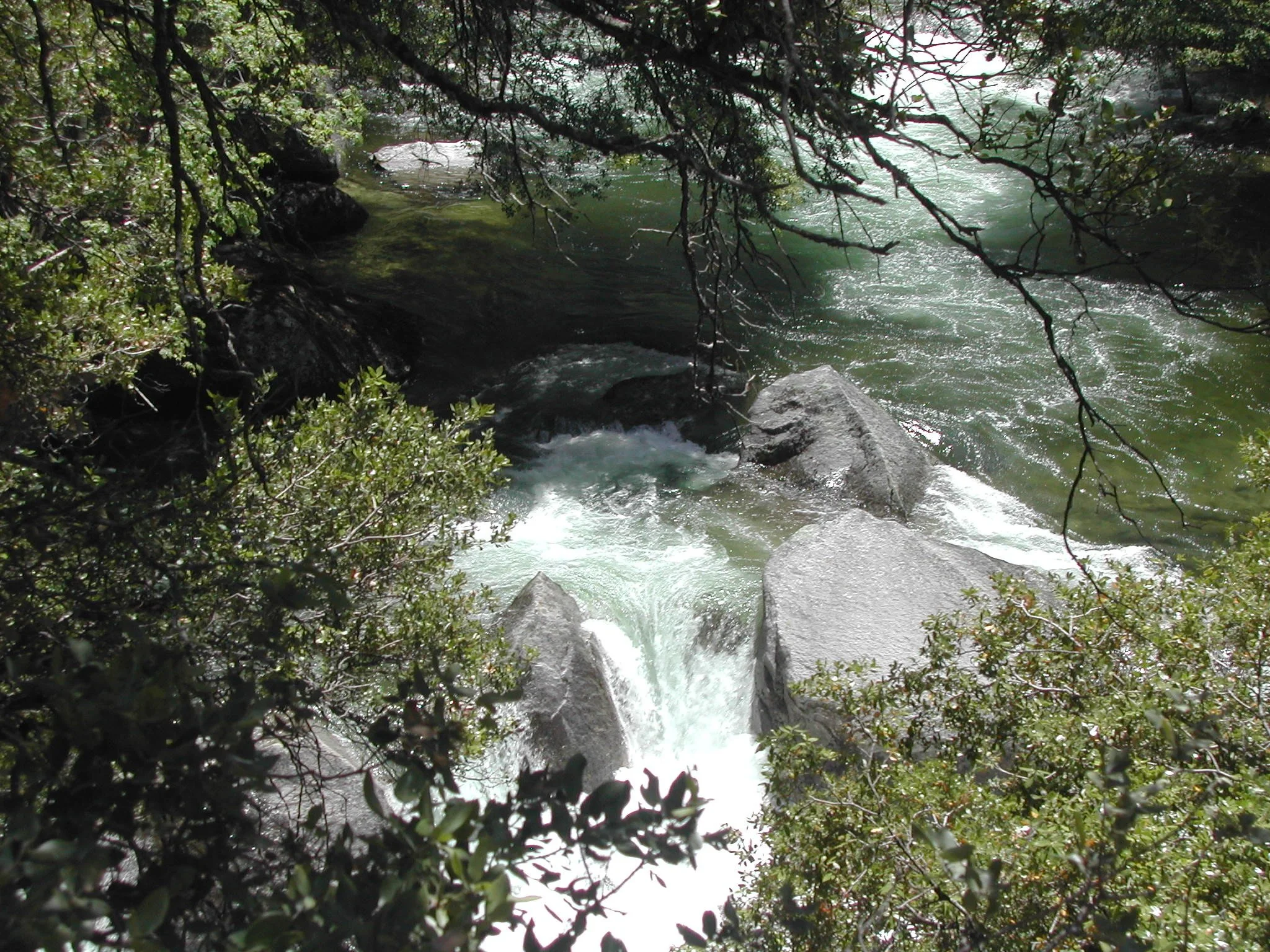 0605-45 Merced River.jpg