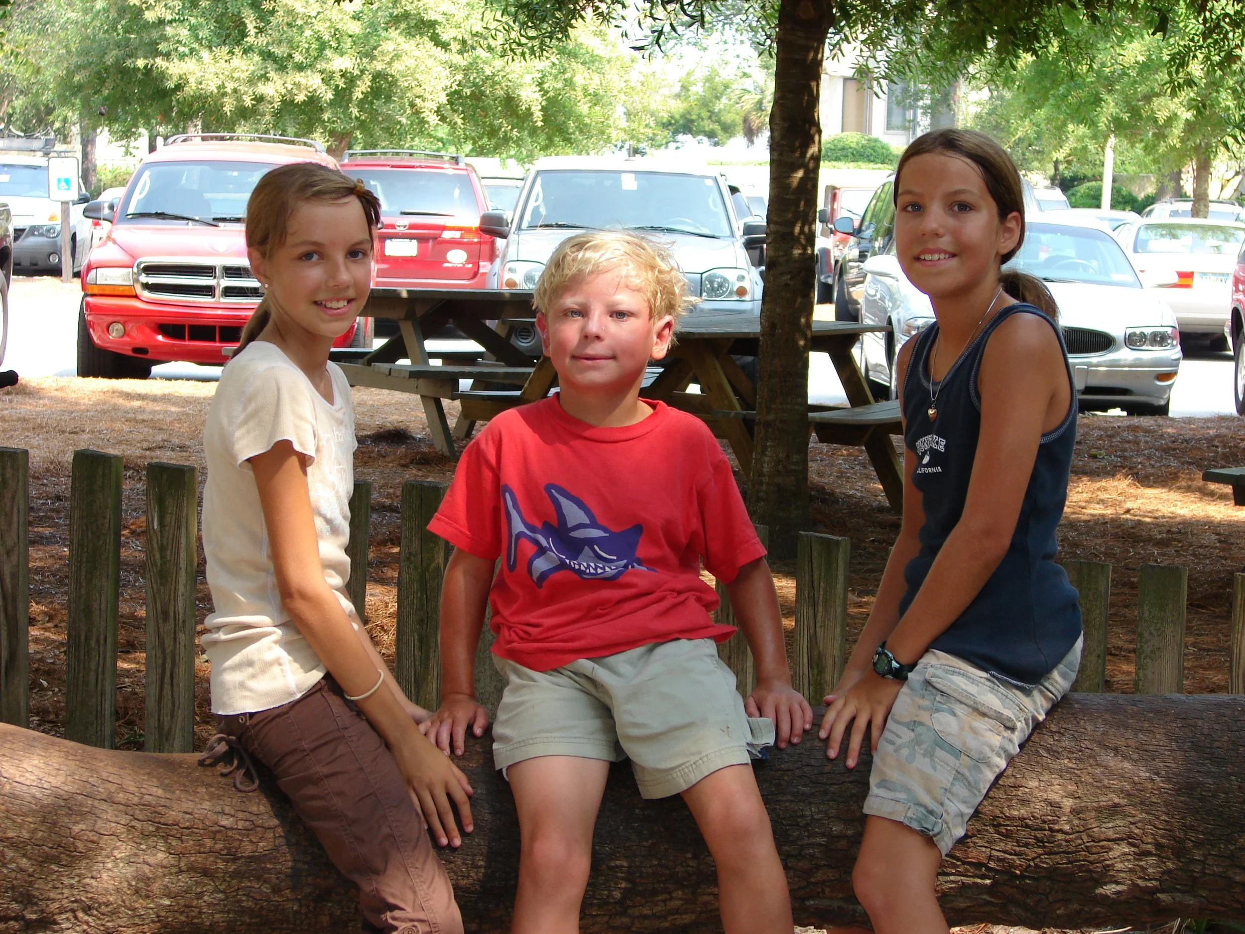 0806 Hilton Head Kids on Tree.jpg