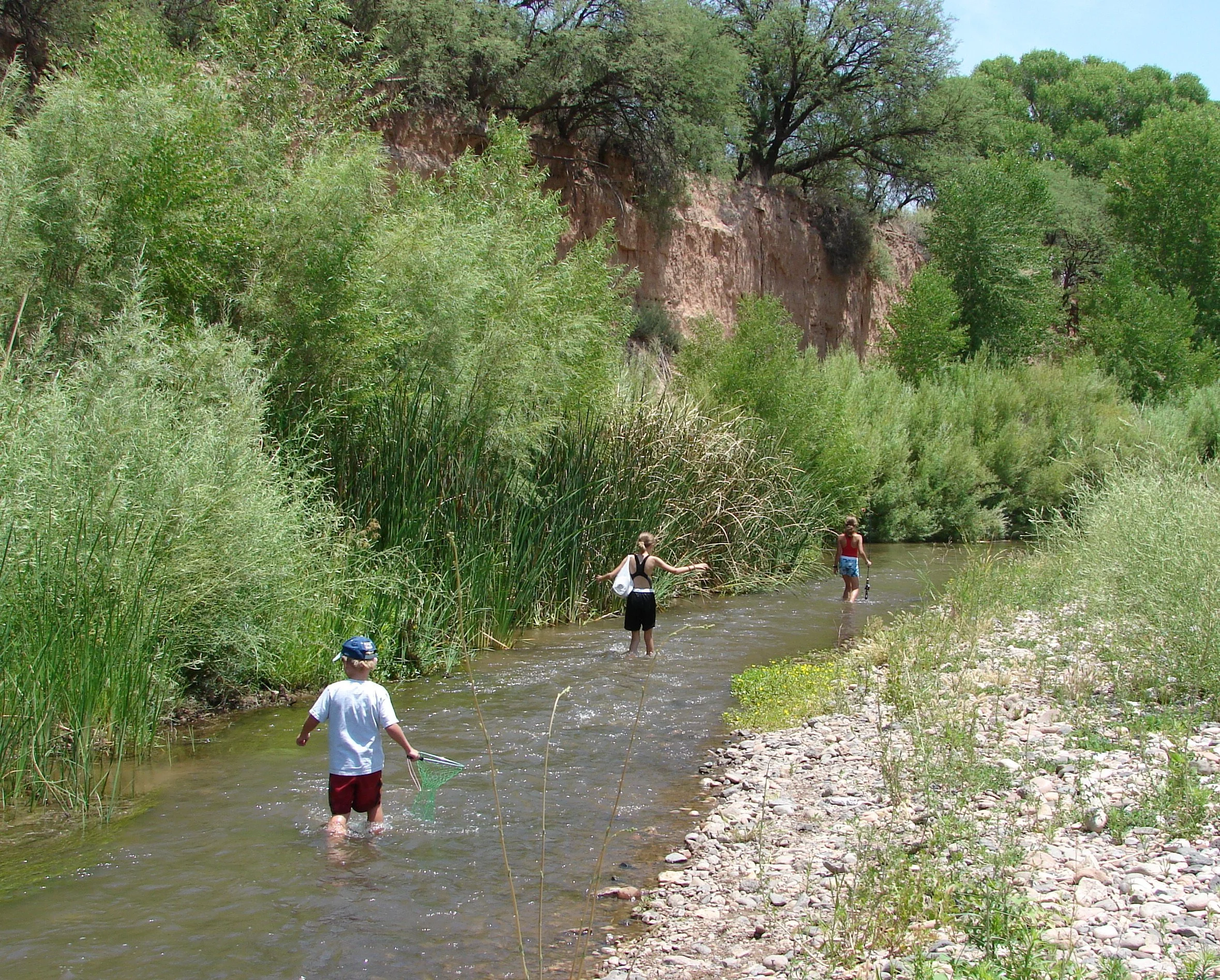 0606 Verde River Kids.jpg