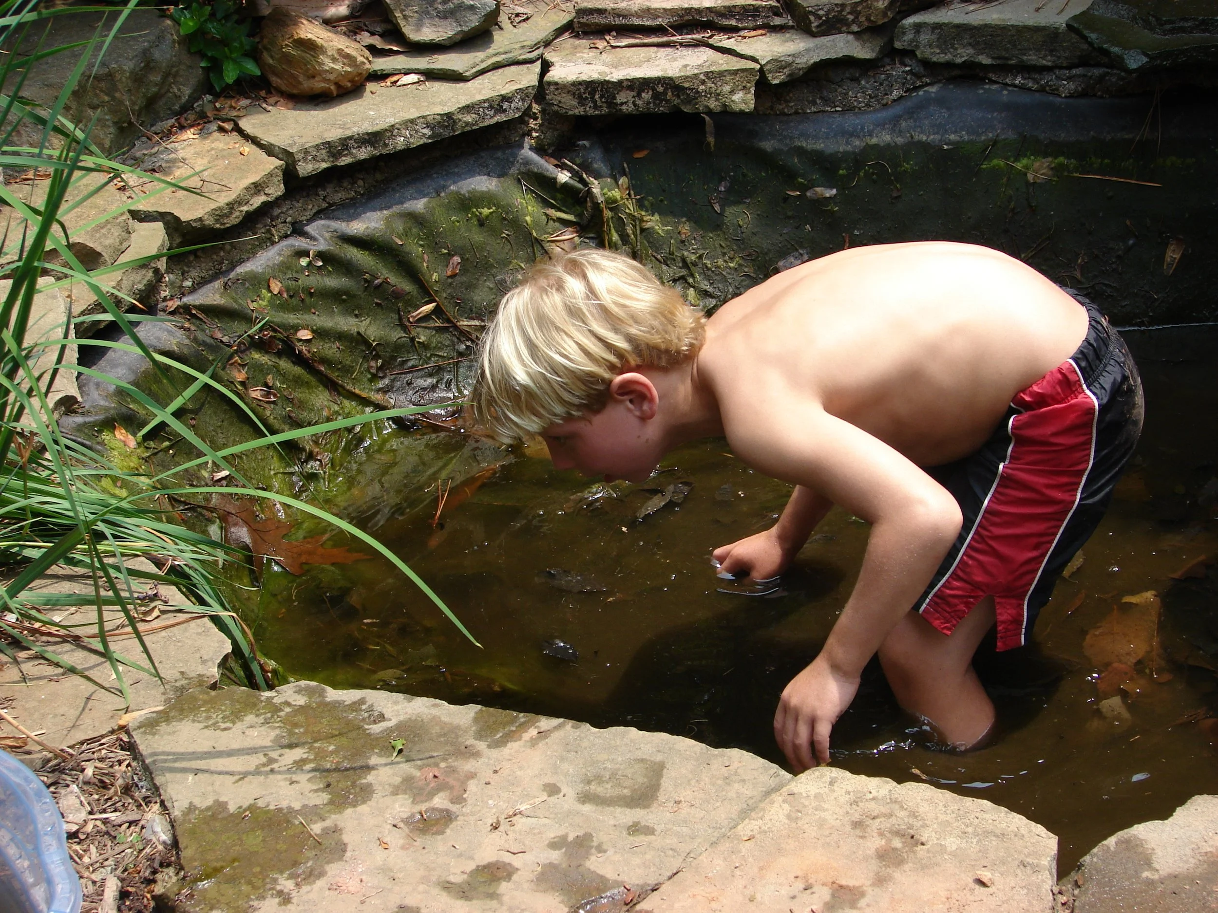 0607 Nate Pond 1.jpg