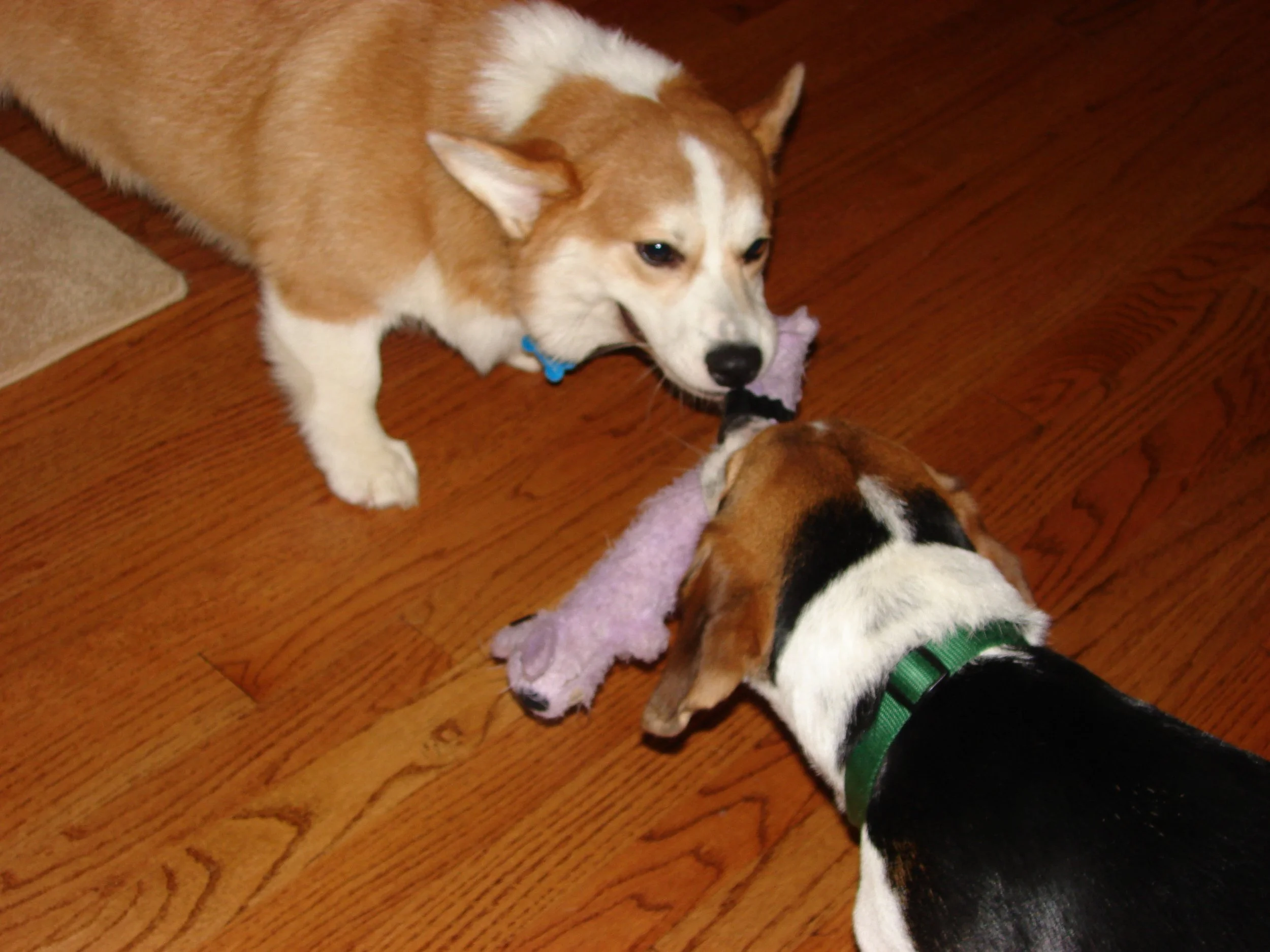 1007 Reggie Louie.jpg