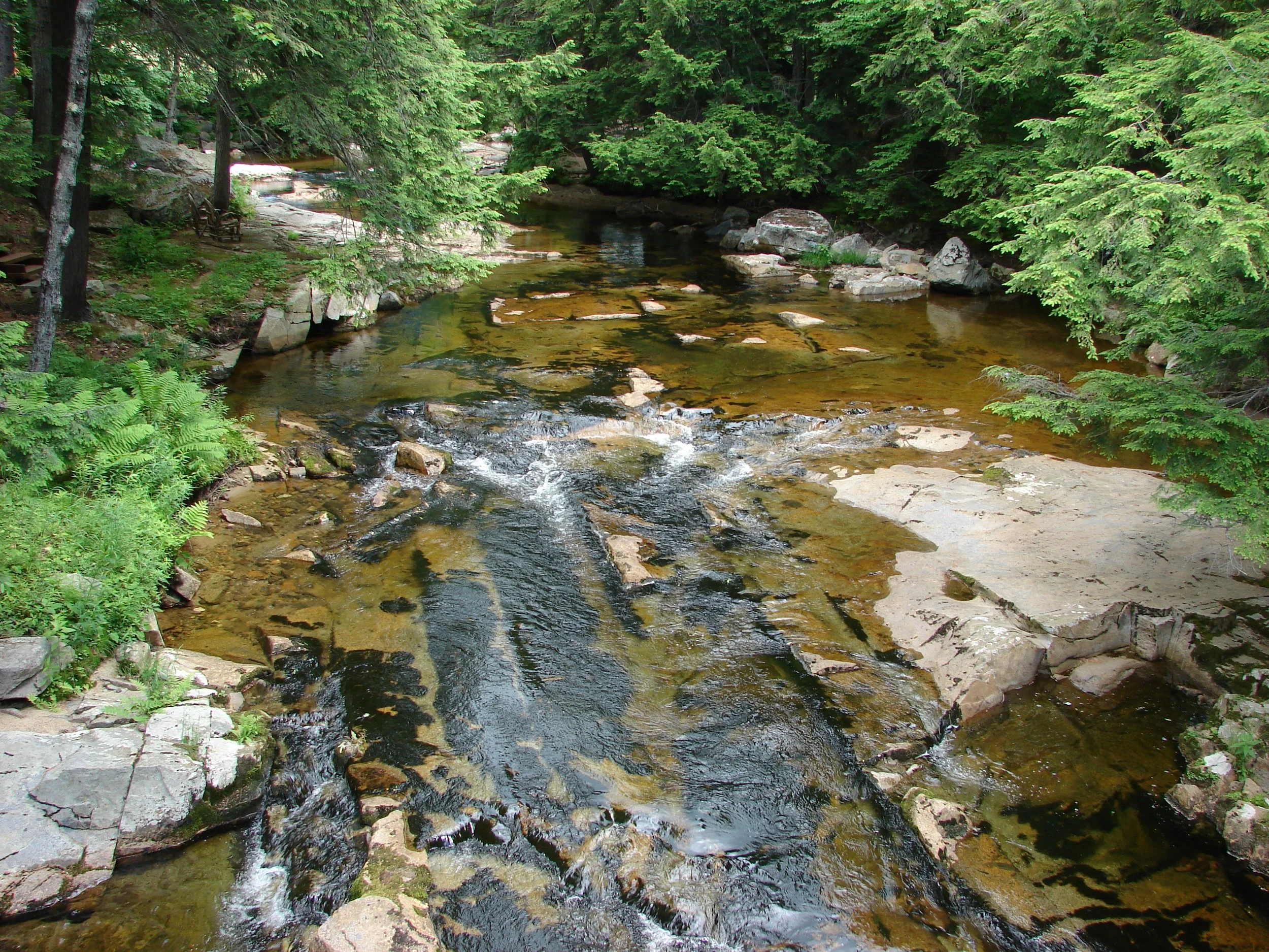 0707 Ellis River.jpg