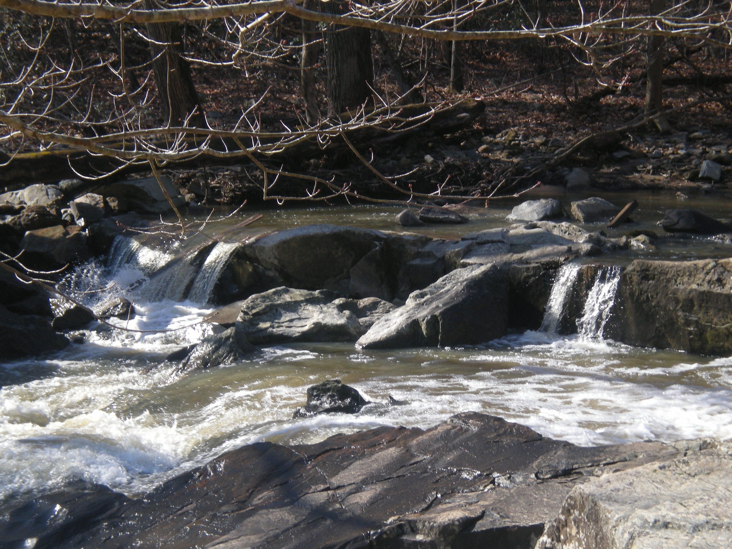 0208 Difficult Run.jpg