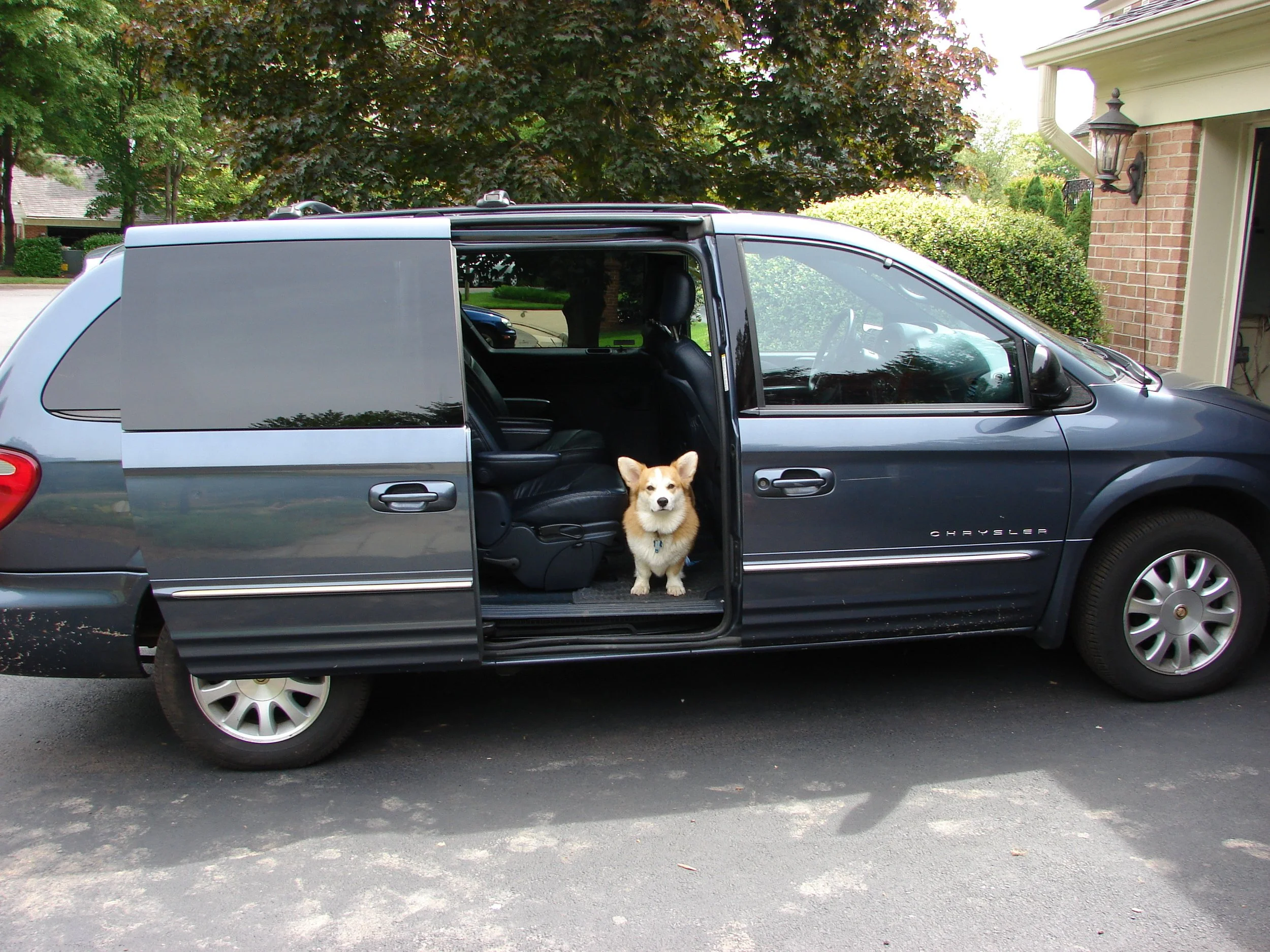 0508 Old Van and Reggie.jpg