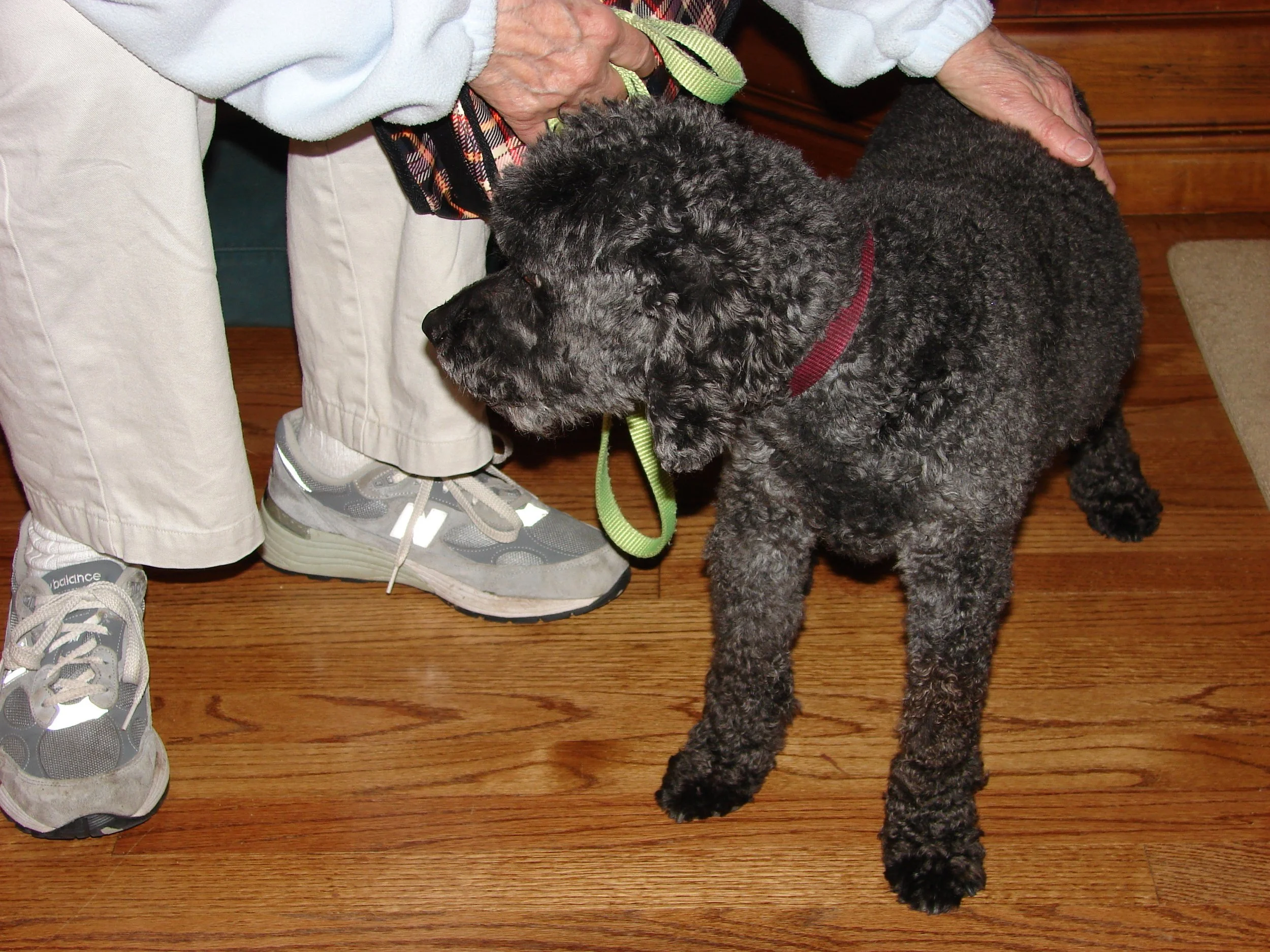 0608 Grandma Jed.jpg