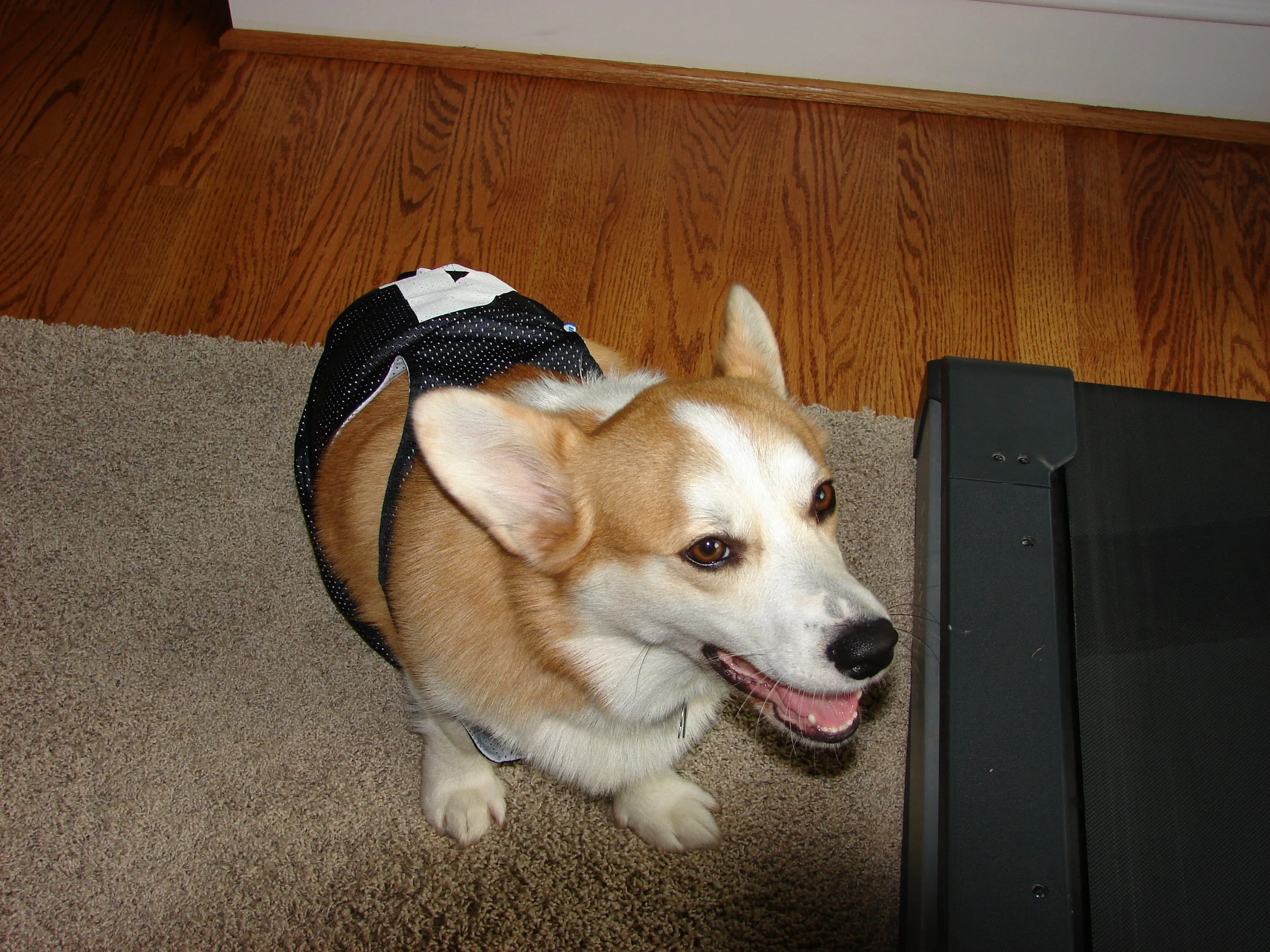 0908 Reggie Lacrosse Shirt.jpg