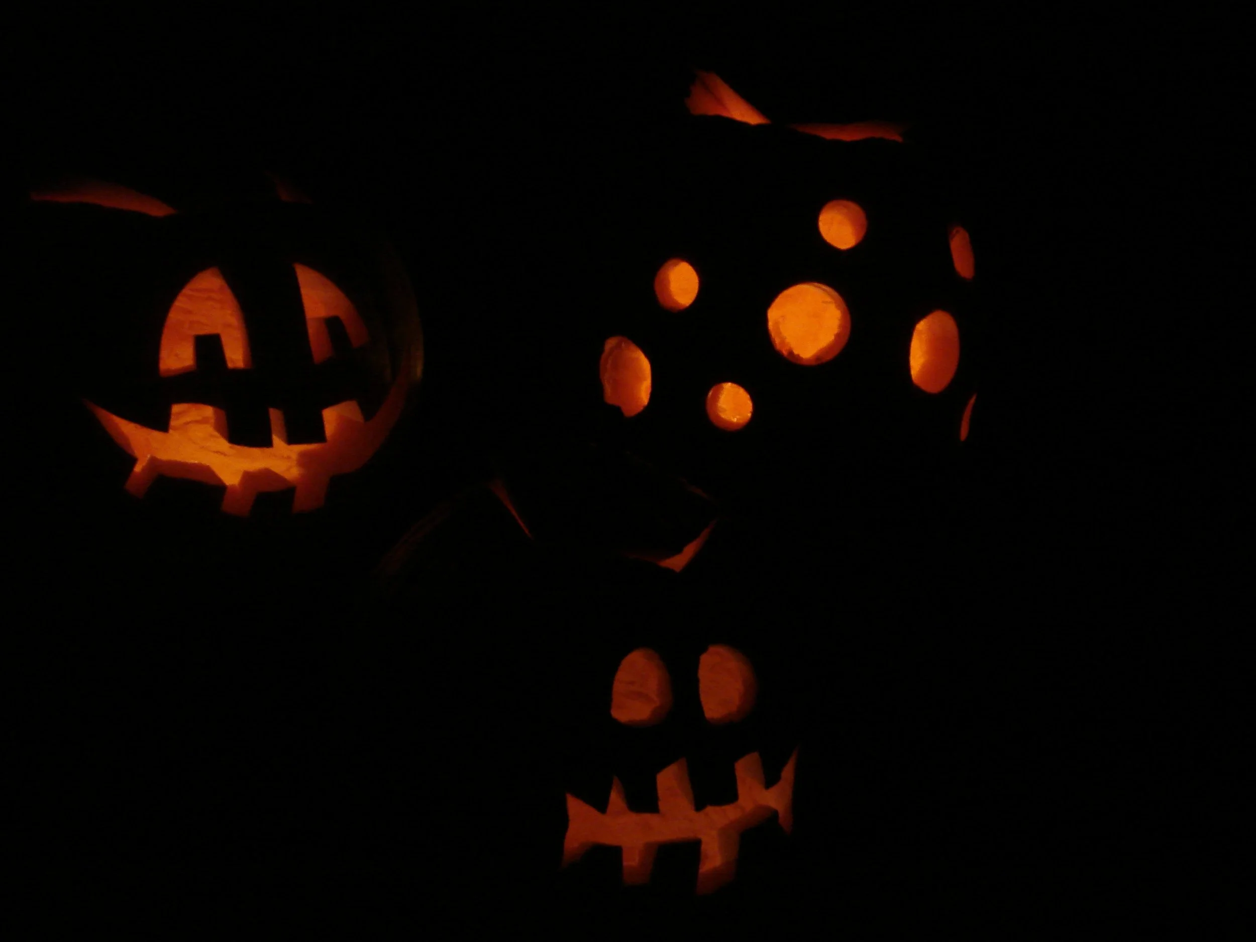 1008 Pumpkins 1.jpg