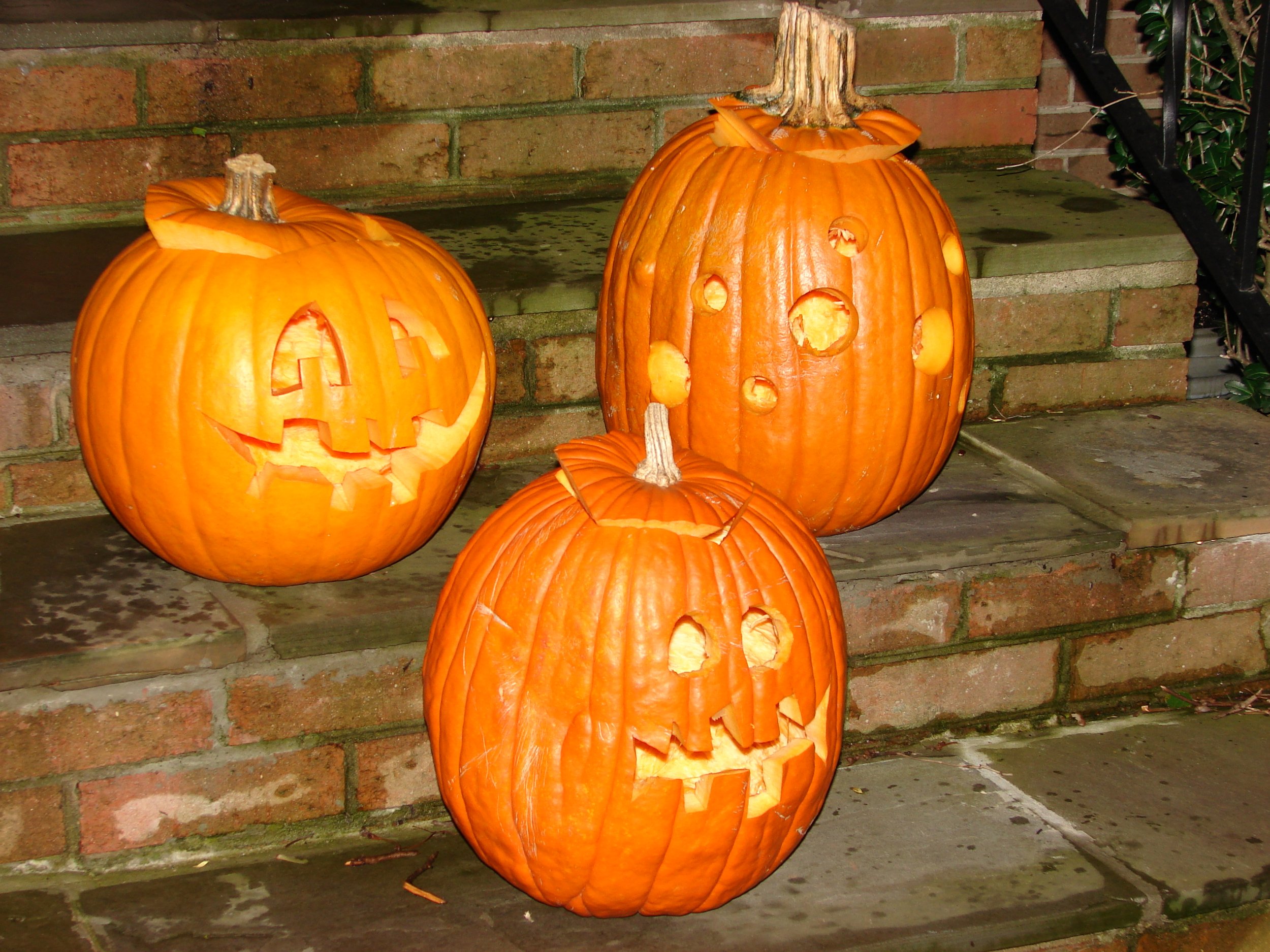 1008 Pumpkins 2.jpg