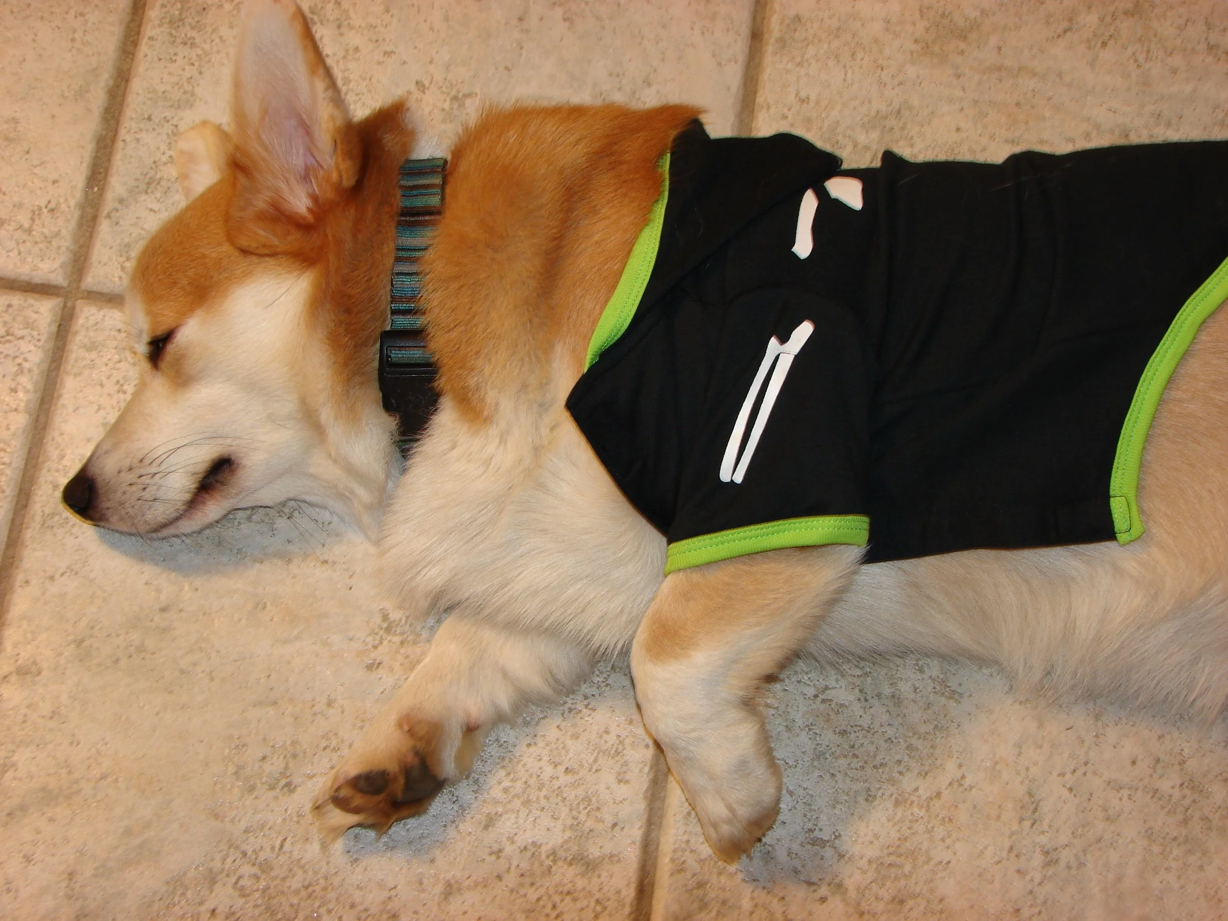 1008 Reggie Shirt 2.jpg