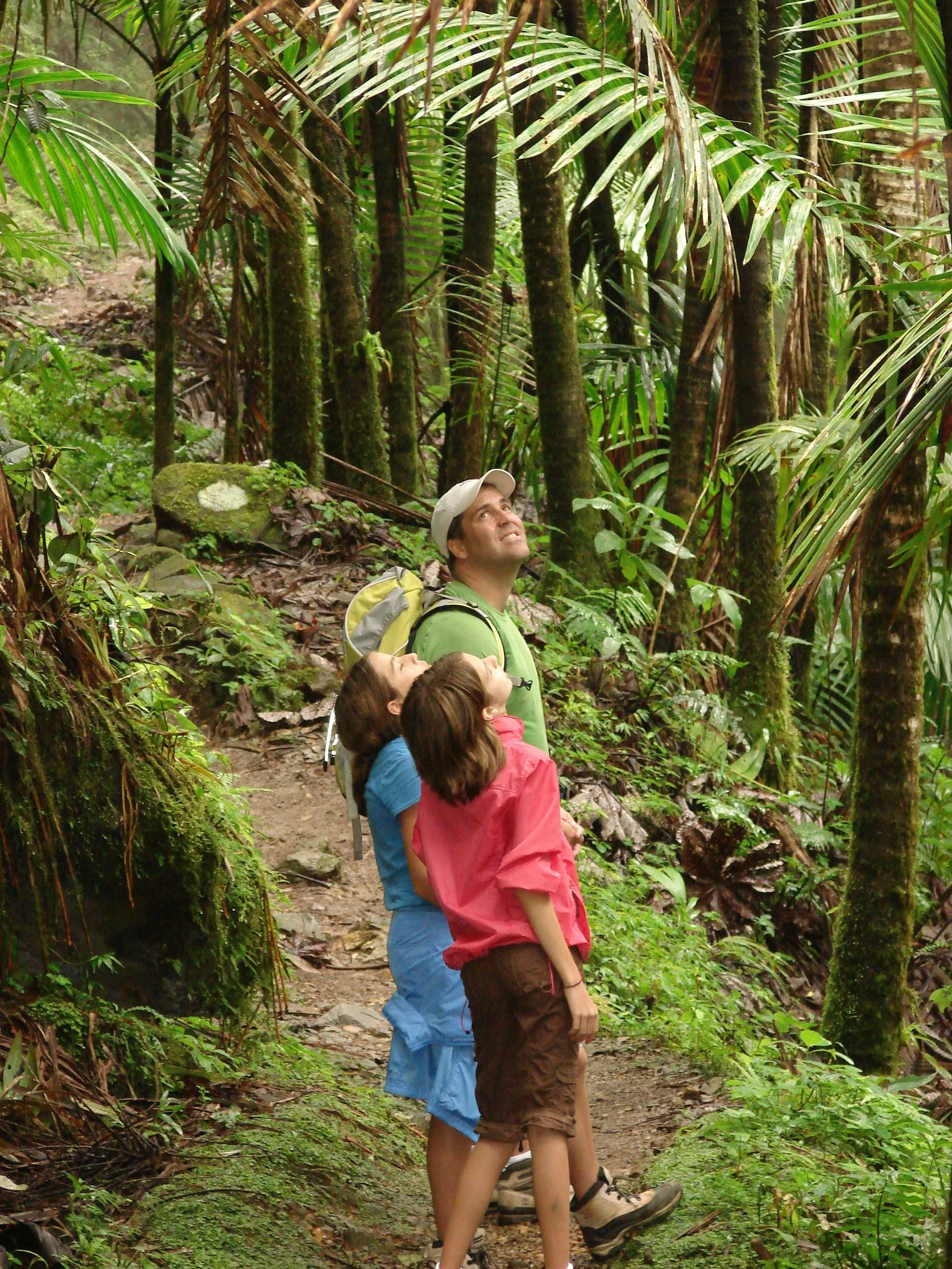 032108 Dad Girls Trail to El Yunque Peak.jpg