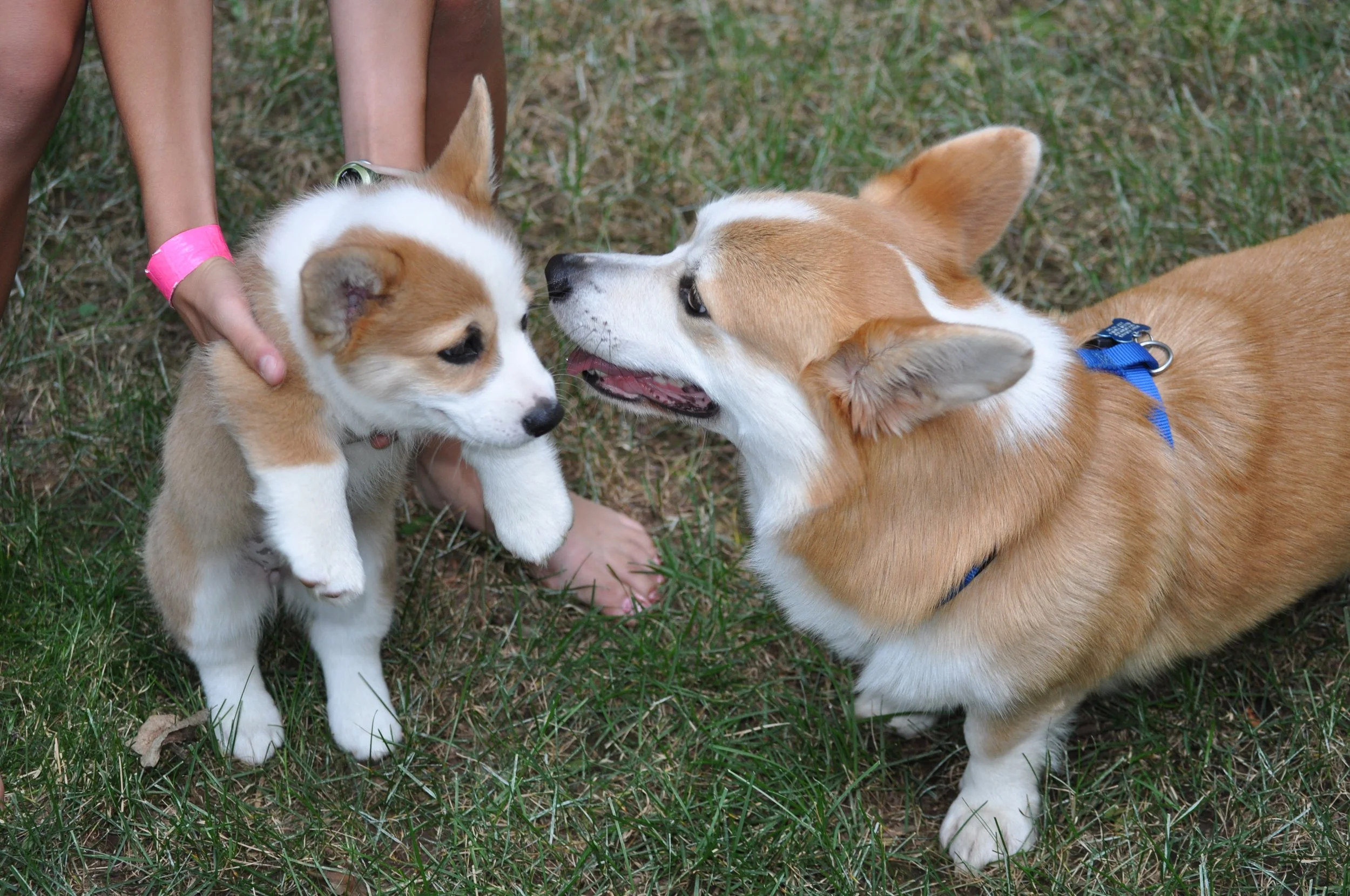 0709 Reggie Lizzie 2.jpg