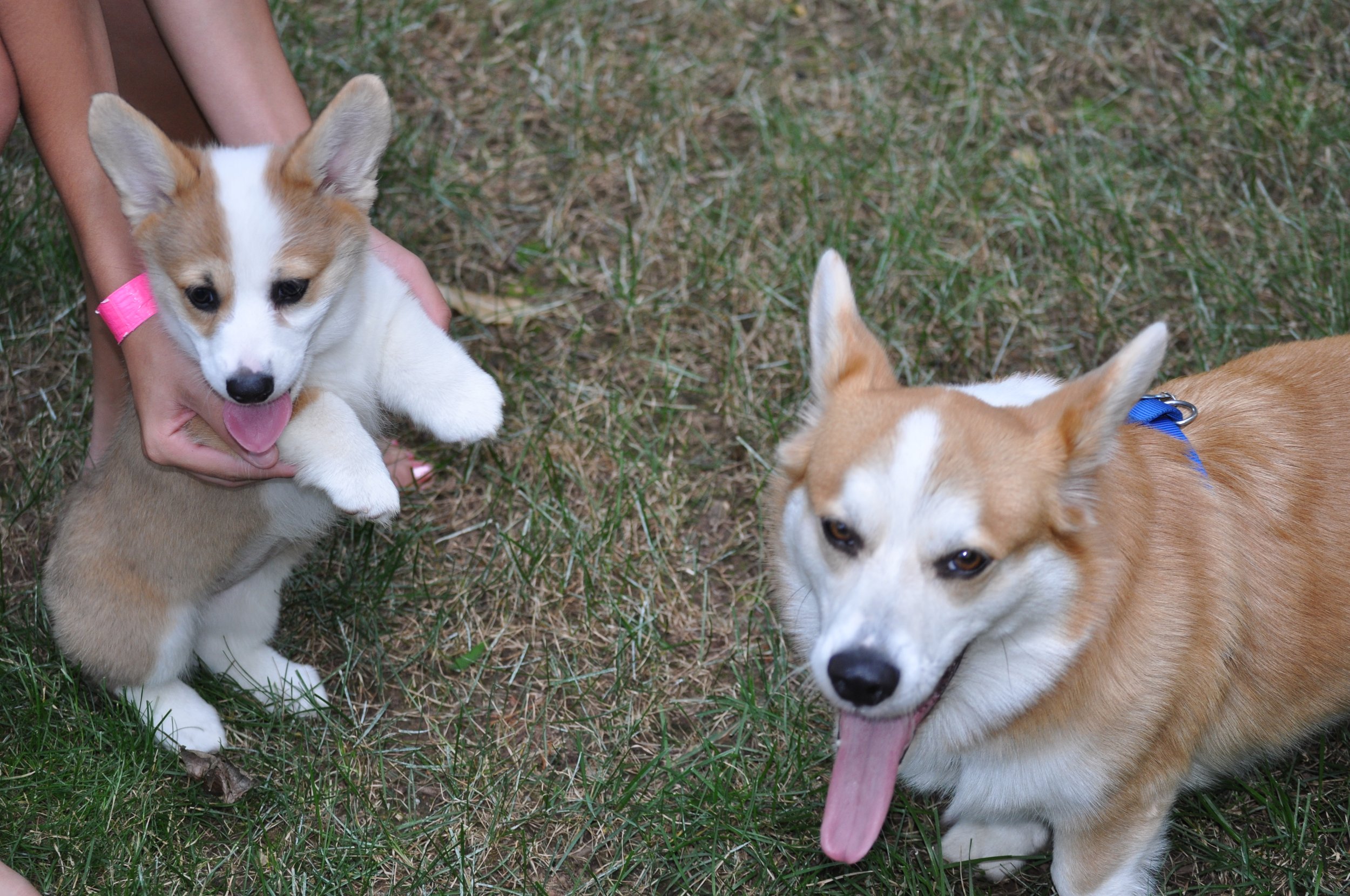 0709 Reggie Lizzie.jpg